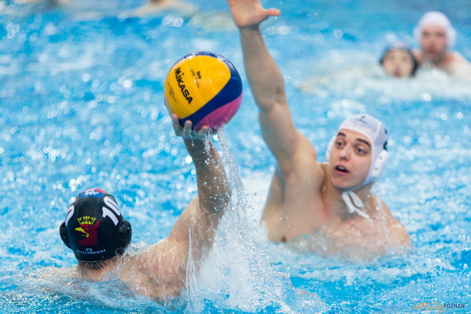 Waterpolo Poznań - Arkonia Szczecin (spotkanie rewanżowe) Foto: lepszyPOZNAN.pl / Piotr Rychter Waterpolo Poznań - Arkonia Szczecin (spotkanie rewanżowe) Foto: lepszyPOZNAN.pl / Piotr Rychter