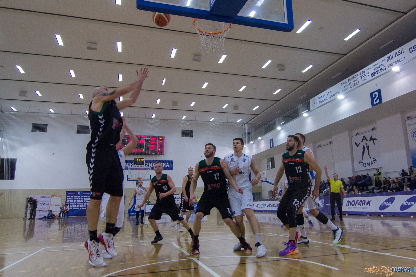 Biofarm Basket Poznań - GKS Tychy Foto: lepszyPOZNAN.pl / Ewelina Jaśkowiak Biofarm Basket Poznań - GKS Tychy Foto: lepszyPOZNAN.pl / Ewelina Jaśkowiak