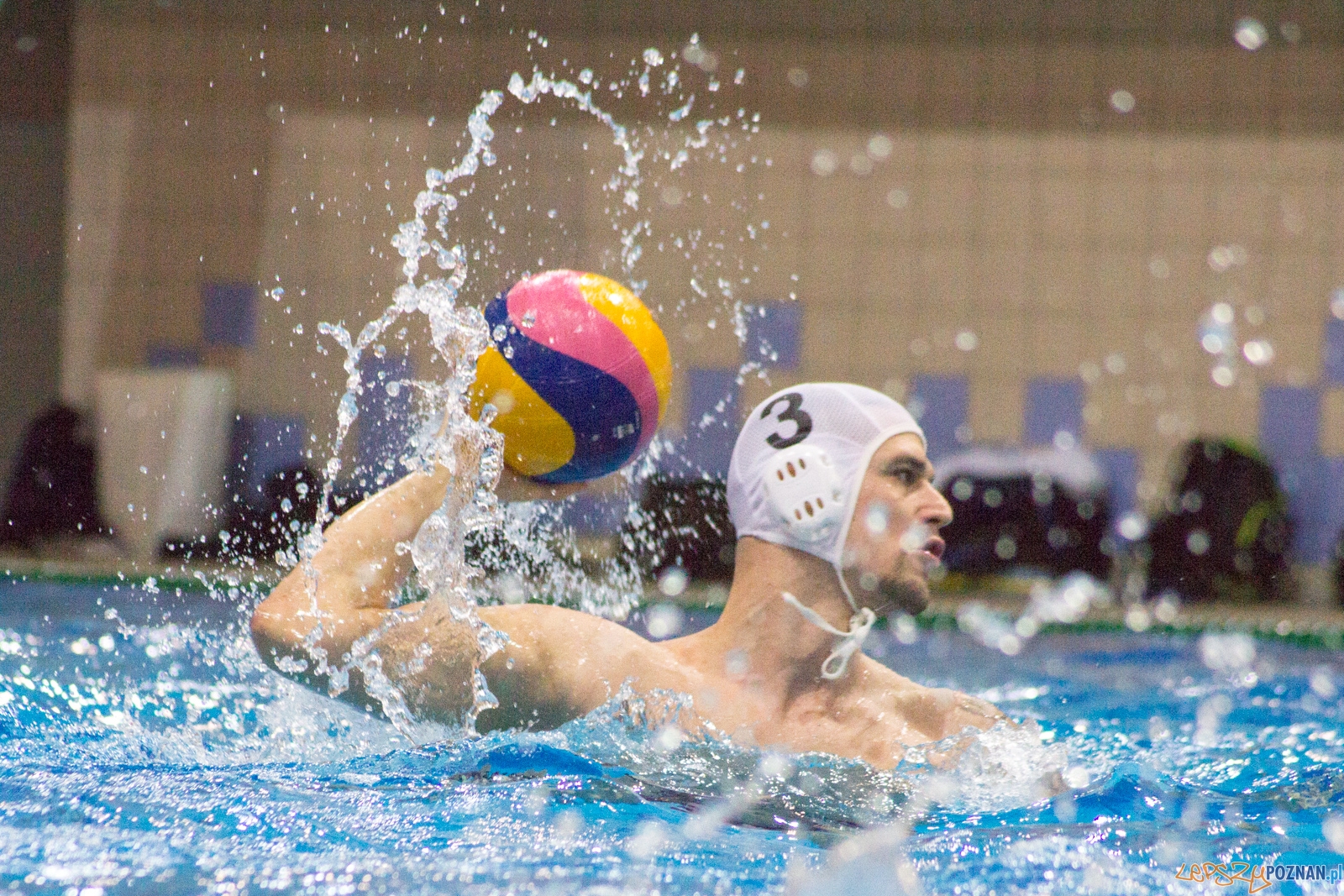 KS Waterpolo Poznań - Arkonia Szczecin Foto: lepszyPOZNAN.pl / Ewelina Jaśkowiak KS Waterpolo Poznań - Arkonia Szczecin Foto: lepszyPOZNAN.pl / Ewelina Jaśkowiak