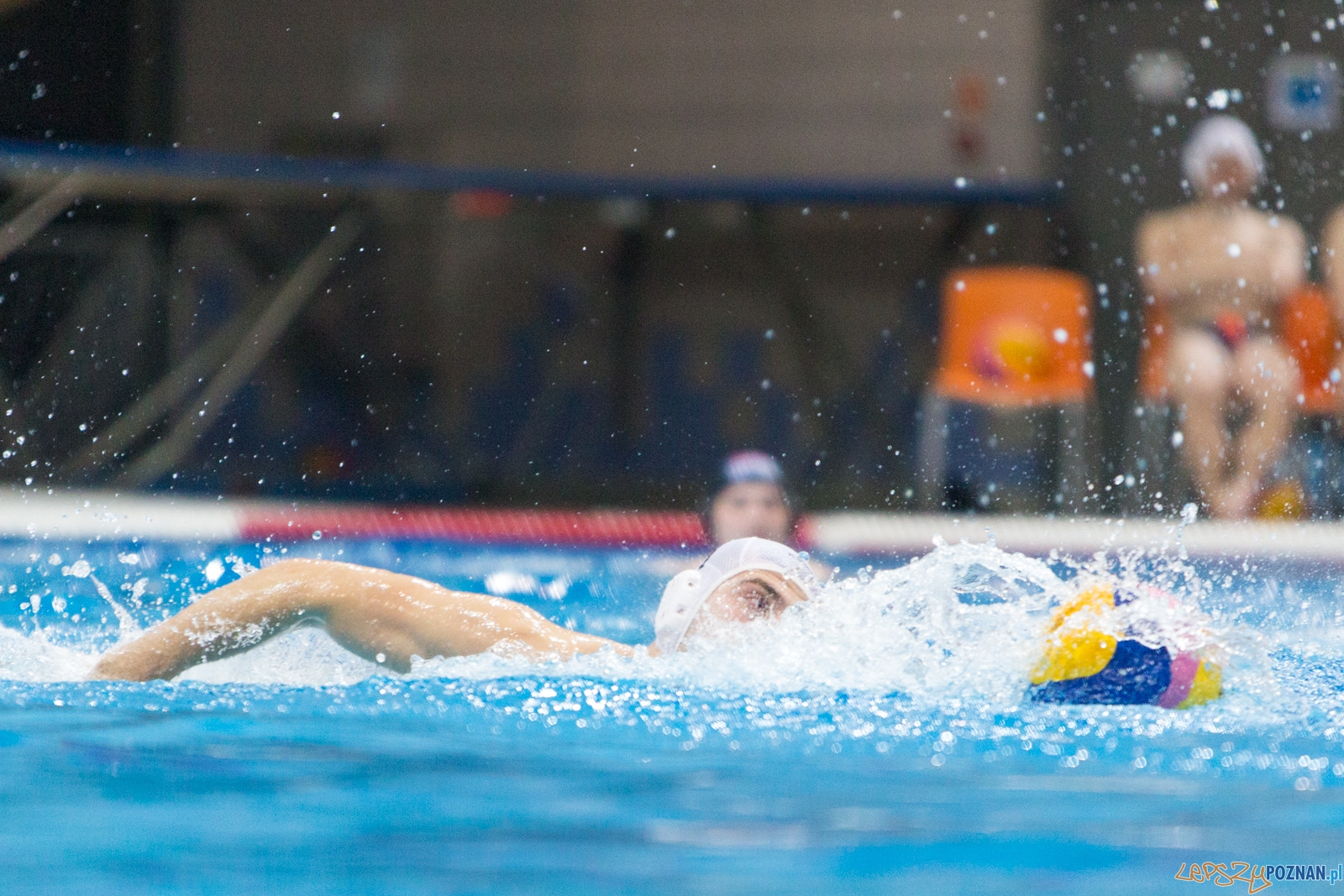 Waterpolo Poznań - Arkonia Szczecin Foto: lepszyPOZNAN.pl / Piotr Rychter Waterpolo Poznań - Arkonia Szczecin Foto: lepszyPOZNAN.pl / Piotr Rychter