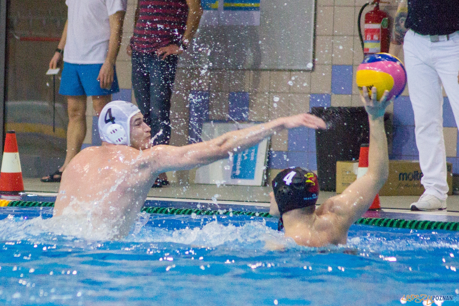 KS Waterpolo Poznań - Arkonia Szczecin Foto: lepszyPOZNAN.pl / Ewelina Jaśkowiak KS Waterpolo Poznań - Arkonia Szczecin Foto: lepszyPOZNAN.pl / Ewelina Jaśkowiak