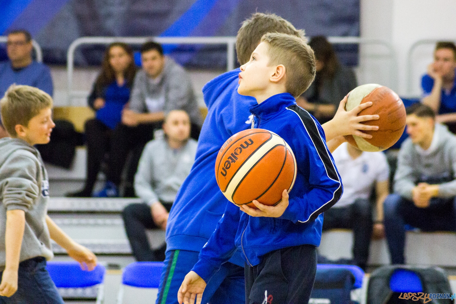 Biofarm Basket Poznań - GKS Tychy Foto: lepszyPOZNAN.pl / Ewelina Jaśkowiak Biofarm Basket Poznań - GKS Tychy Foto: lepszyPOZNAN.pl / Ewelina Jaśkowiak