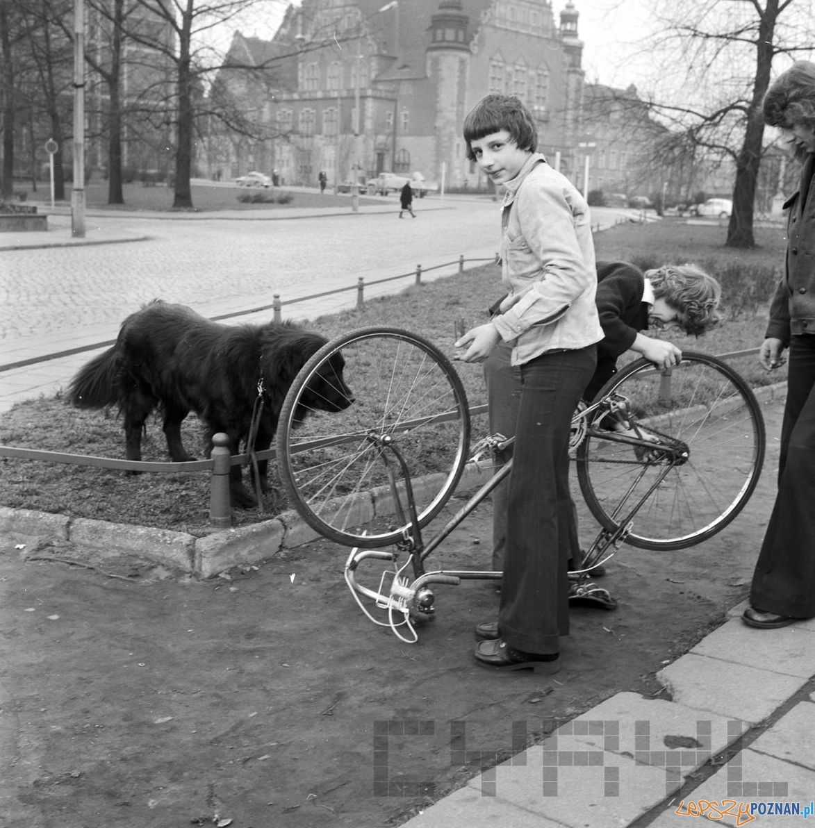 Skwer przy Marchlewskiego - dziś Aleje Niepodległości - 16.03.1975 Foto: Stanisław Wiktor / Cyryl Skwer przy Marchlewskiego - dziś Aleje Niepodległości - 16.03.1975 Foto: Stanisław Wiktor / Cyryl