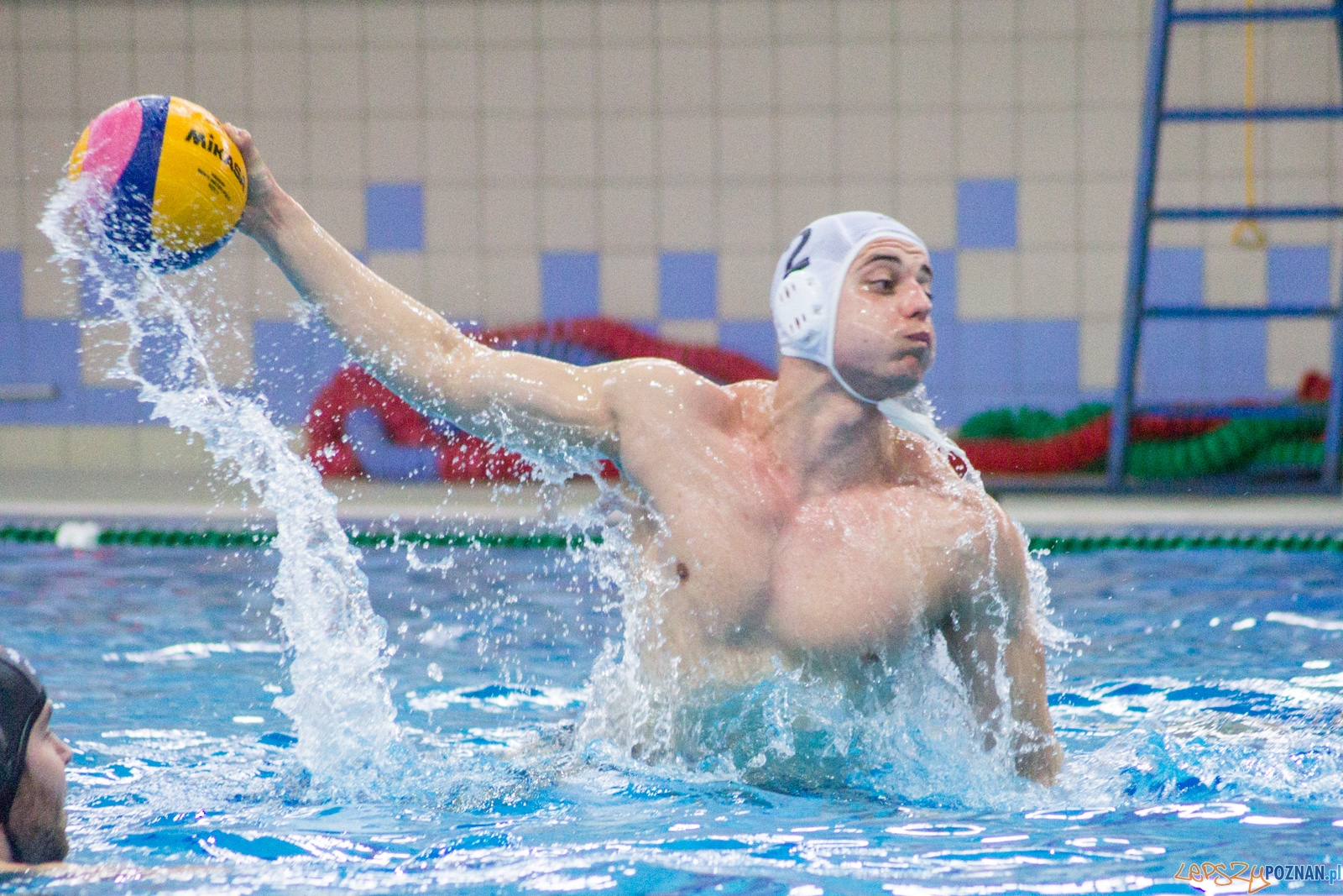 KS Waterpolo Poznań - Arkonia Szczecin (mecz rewanżowy) Foto: lepszyPOZNAN.pl / Ewelina Jaśkowiak KS Waterpolo Poznań - Arkonia Szczecin (mecz rewanżowy) Foto: lepszyPOZNAN.pl / Ewelina Jaśkowiak