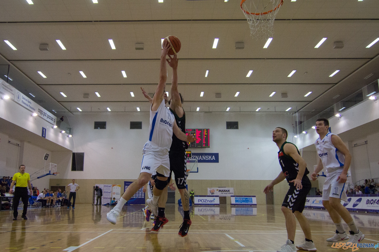 Biofarm Basket Poznań - GKS Tychy Foto: lepszyPOZNAN.pl / Ewelina Jaśkowiak Biofarm Basket Poznań - GKS Tychy Foto: lepszyPOZNAN.pl / Ewelina Jaśkowiak