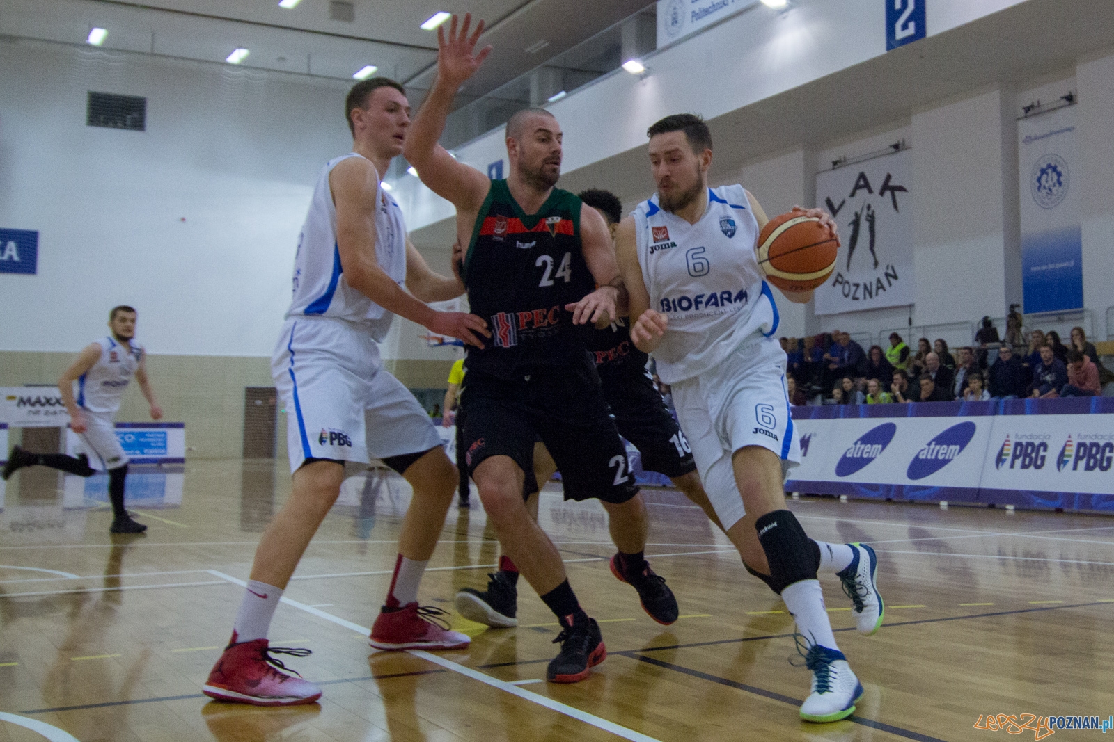 Biofarm Basket Poznań - GKS Tychy Foto: lepszyPOZNAN.pl / Ewelina Jaśkowiak Biofarm Basket Poznań - GKS Tychy Foto: lepszyPOZNAN.pl / Ewelina Jaśkowiak