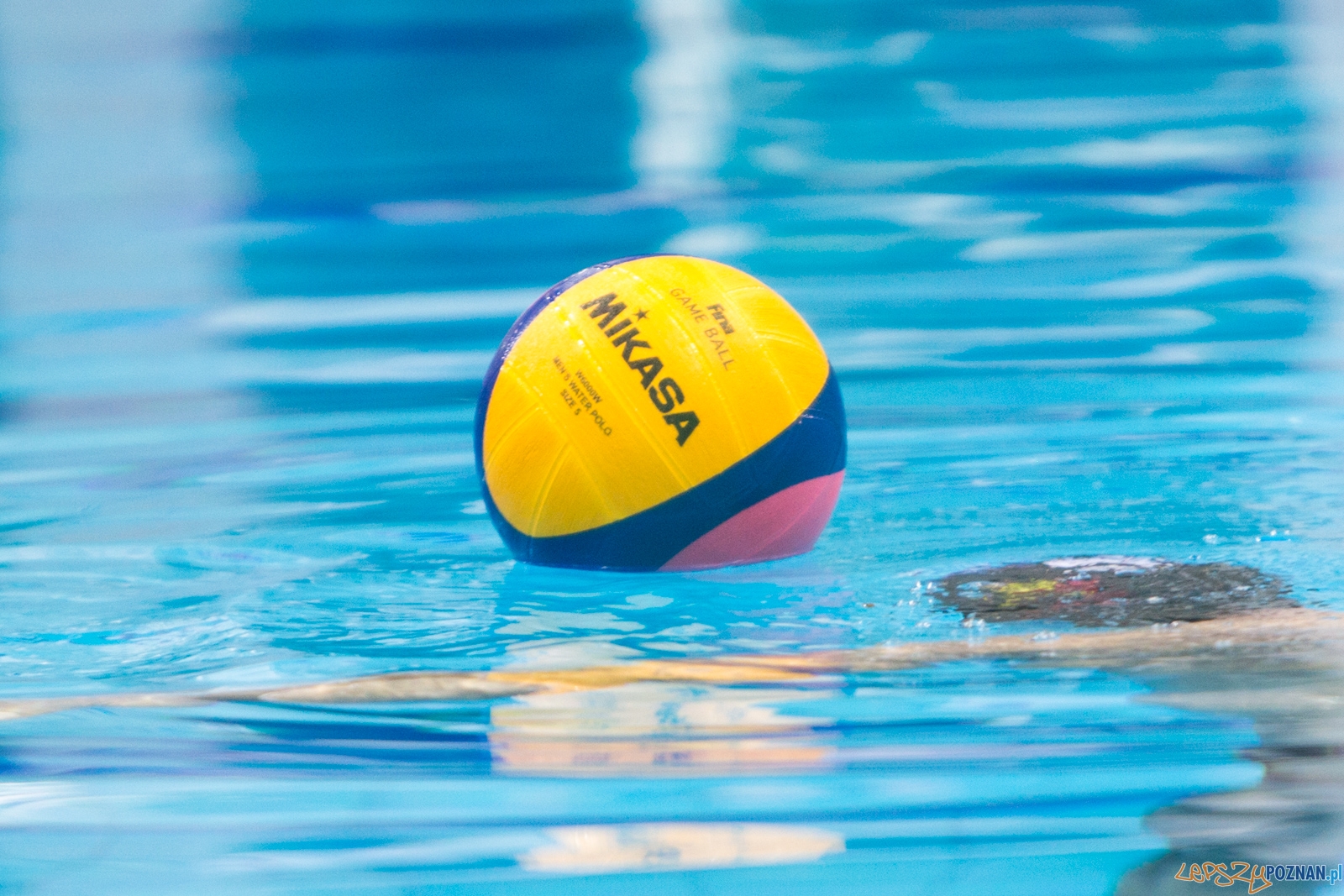 Waterpolo Poznań - Arkonia Szczecin Foto: lepszyPOZNAN.pl / Piotr Rychter Waterpolo Poznań - Arkonia Szczecin Foto: lepszyPOZNAN.pl / Piotr Rychter