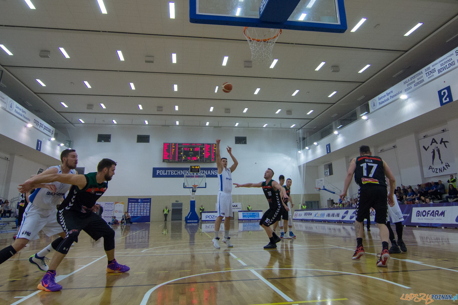 Biofarm Basket Poznań - GKS Tychy Foto: lepszyPOZNAN.pl / Ewelina Jaśkowiak Biofarm Basket Poznań - GKS Tychy Foto: lepszyPOZNAN.pl / Ewelina Jaśkowiak