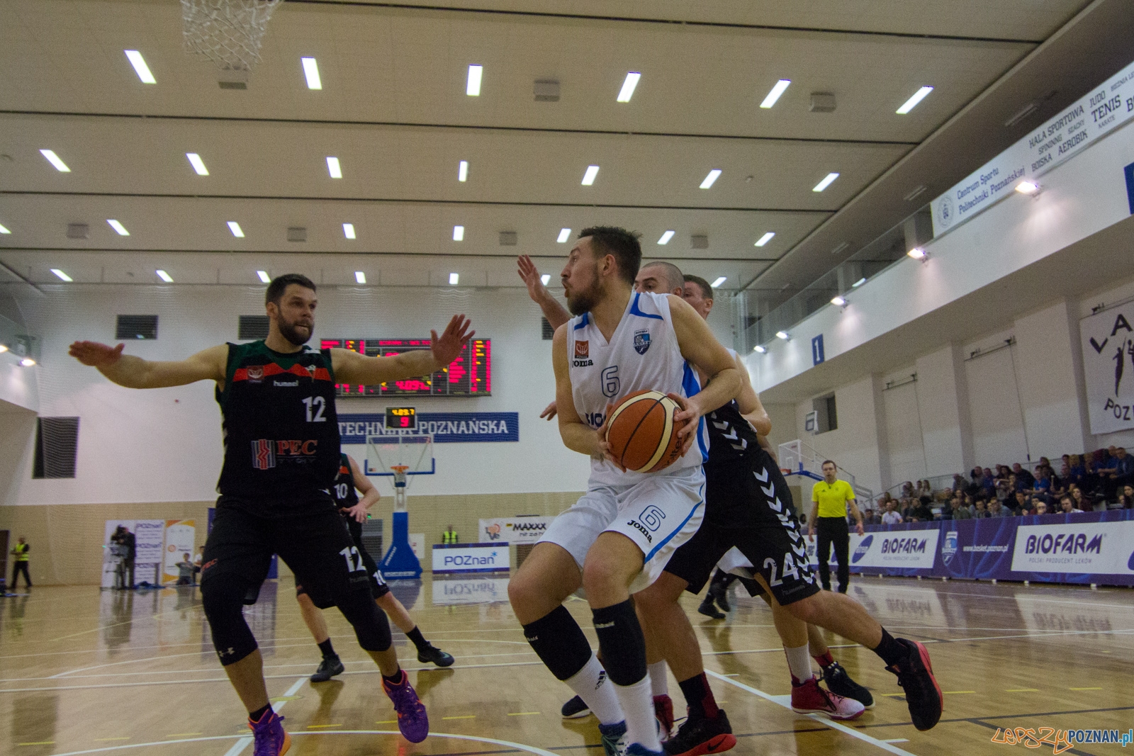 Biofarm Basket Poznań - GKS Tychy Foto: lepszyPOZNAN.pl / Ewelina Jaśkowiak Biofarm Basket Poznań - GKS Tychy Foto: lepszyPOZNAN.pl / Ewelina Jaśkowiak