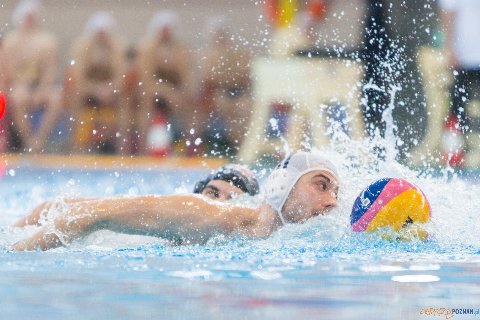 Waterpolo Poznań - Arkonia Szczecin (spotkanie rewanżowe) Foto: lepszyPOZNAN.pl / Piotr Rychter Waterpolo Poznań - Arkonia Szczecin (spotkanie rewanżowe) Foto: lepszyPOZNAN.pl / Piotr Rychter