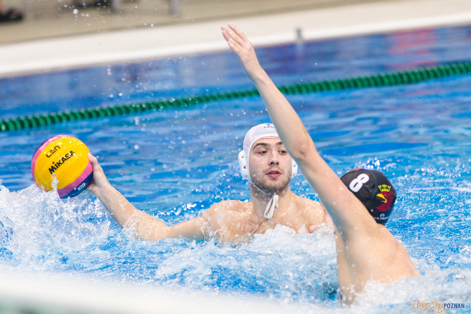Waterpolo Poznań - Arkonia Szczecin Foto: lepszyPOZNAN.pl / Piotr Rychter Waterpolo Poznań - Arkonia Szczecin Foto: lepszyPOZNAN.pl / Piotr Rychter