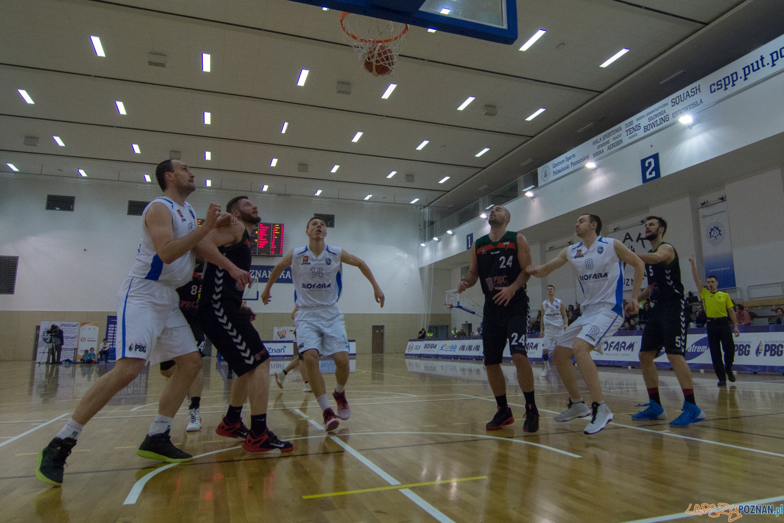 Biofarm Basket Poznań - GKS Tychy Foto: lepszyPOZNAN.pl / Ewelina Jaśkowiak Biofarm Basket Poznań - GKS Tychy Foto: lepszyPOZNAN.pl / Ewelina Jaśkowiak