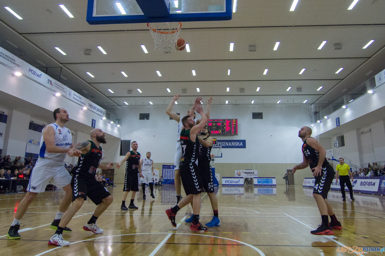 Biofarm Basket Poznań - GKS Tychy Foto: lepszyPOZNAN.pl / Ewelina Jaśkowiak Biofarm Basket Poznań - GKS Tychy Foto: lepszyPOZNAN.pl / Ewelina Jaśkowiak