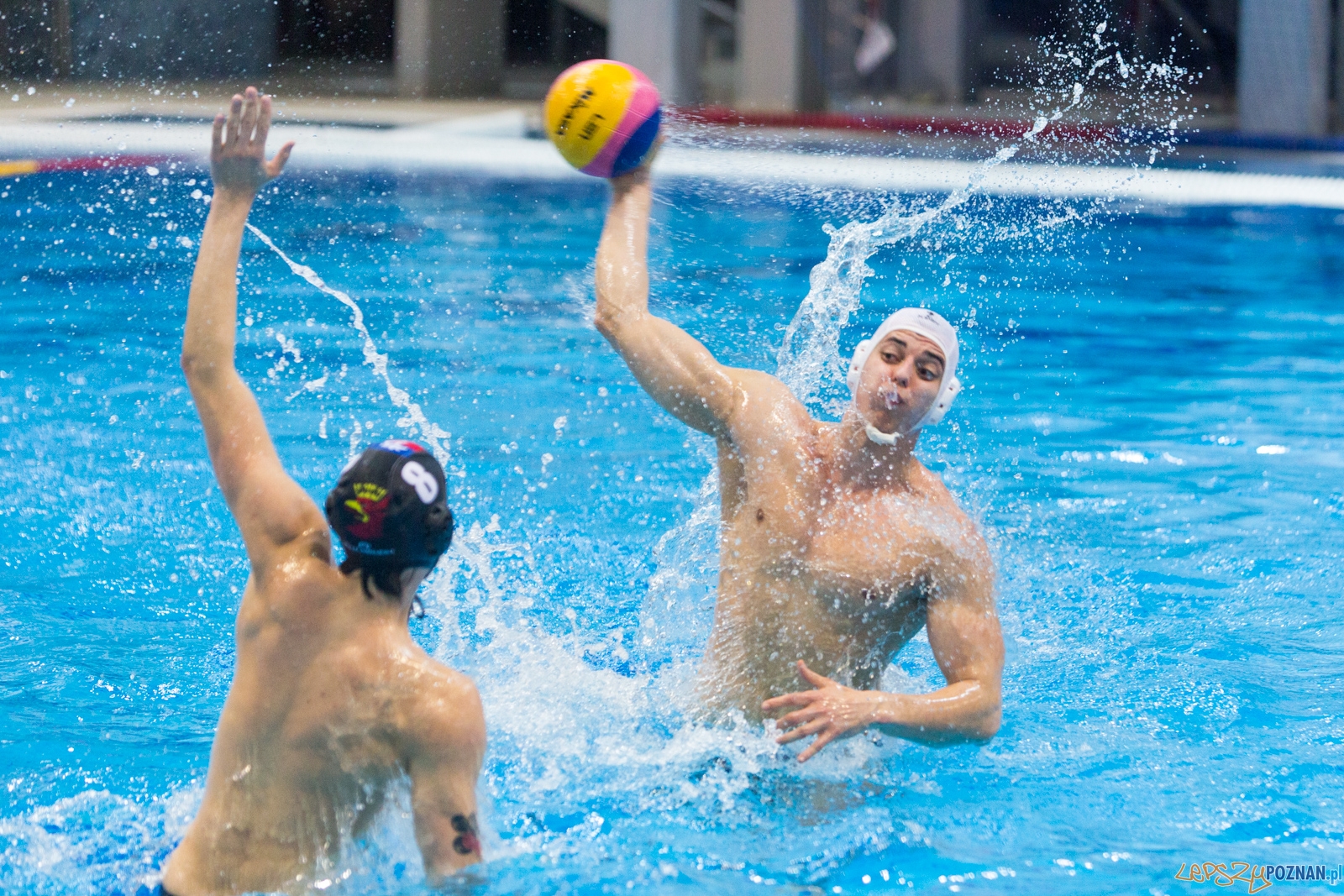 Waterpolo Poznań - Arkonia Szczecin Foto: lepszyPOZNAN.pl / Piotr Rychter Waterpolo Poznań - Arkonia Szczecin Foto: lepszyPOZNAN.pl / Piotr Rychter