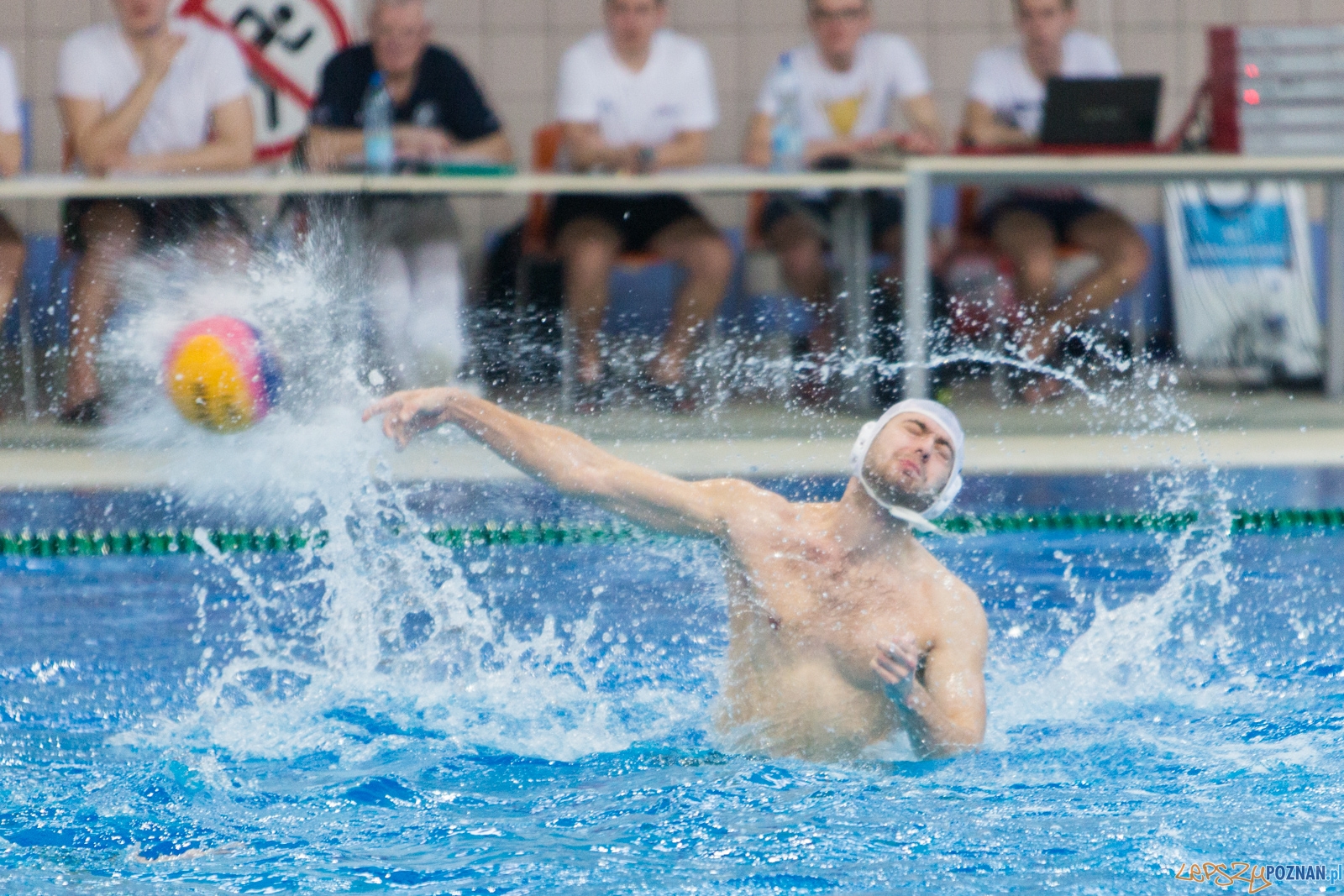 Waterpolo Poznań - Arkonia Szczecin (spotkanie rewanżowe) Foto: lepszyPOZNAN.pl / Piotr Rychter Waterpolo Poznań - Arkonia Szczecin (spotkanie rewanżowe) Foto: lepszyPOZNAN.pl / Piotr Rychter