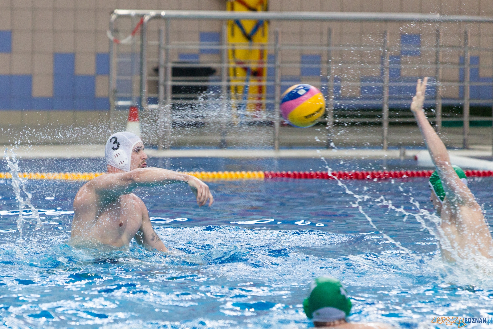 KS Waterpolo Poznań - Legia Warszawa Foto: lepszyPOZNAN.pl / Piotr Rychter KS Waterpolo Poznań - Legia Warszawa Foto: lepszyPOZNAN.pl / Piotr Rychter