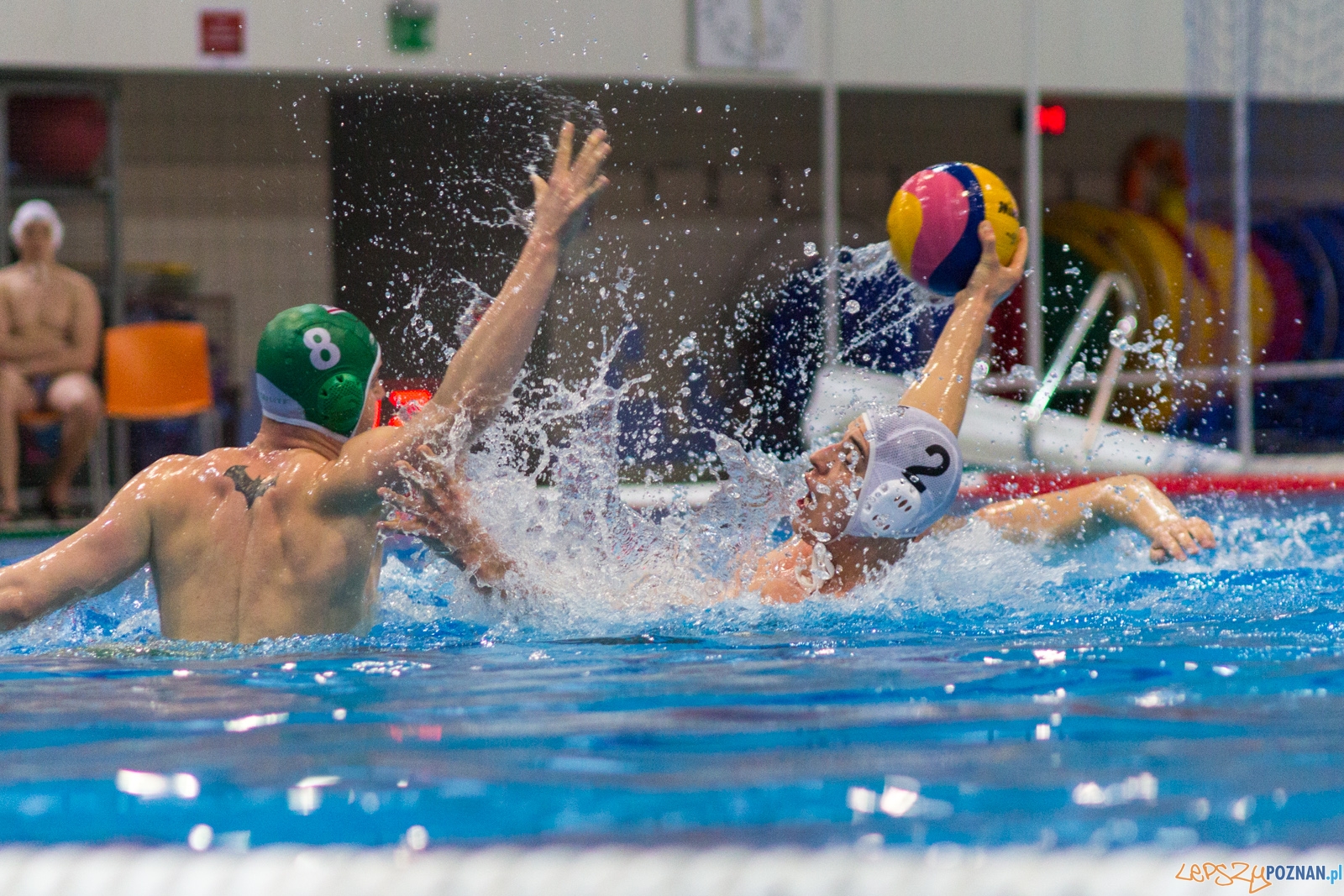 KS Waterpolo Poznań - Legia Warszawa Foto: lepszyPOZNAN.pl / Ewelina Jaśkowiak KS Waterpolo Poznań - Legia Warszawa Foto: lepszyPOZNAN.pl / Ewelina Jaśkowiak