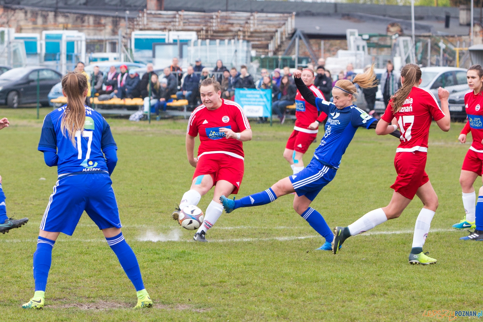Polonia Poznań - Stomilanki Olsztyn Foto: lepszyPOZNAN.pl / Piotr Rychter Polonia Poznań - Stomilanki Olsztyn Foto: lepszyPOZNAN.pl / Piotr Rychter