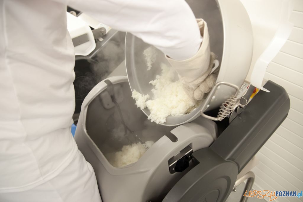 Sushi Factory Foto: materiały prasowe Sushi Factory Foto: materiały prasowe