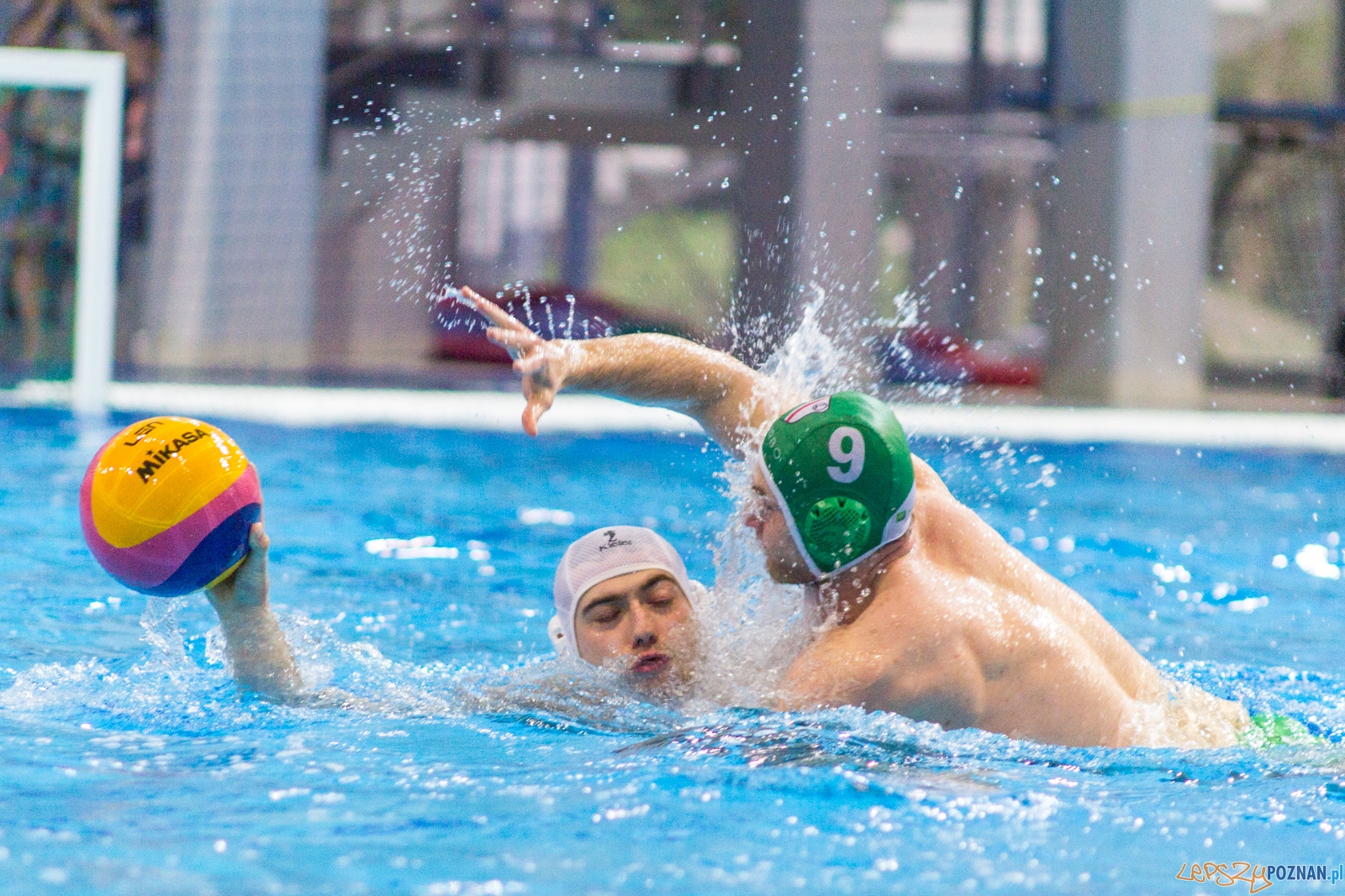 KS Waterpolo Poznań - Legia Warszawa Foto: lepszyPOZNAN.pl / Ewelina Jaśkowiak KS Waterpolo Poznań - Legia Warszawa Foto: lepszyPOZNAN.pl / Ewelina Jaśkowiak