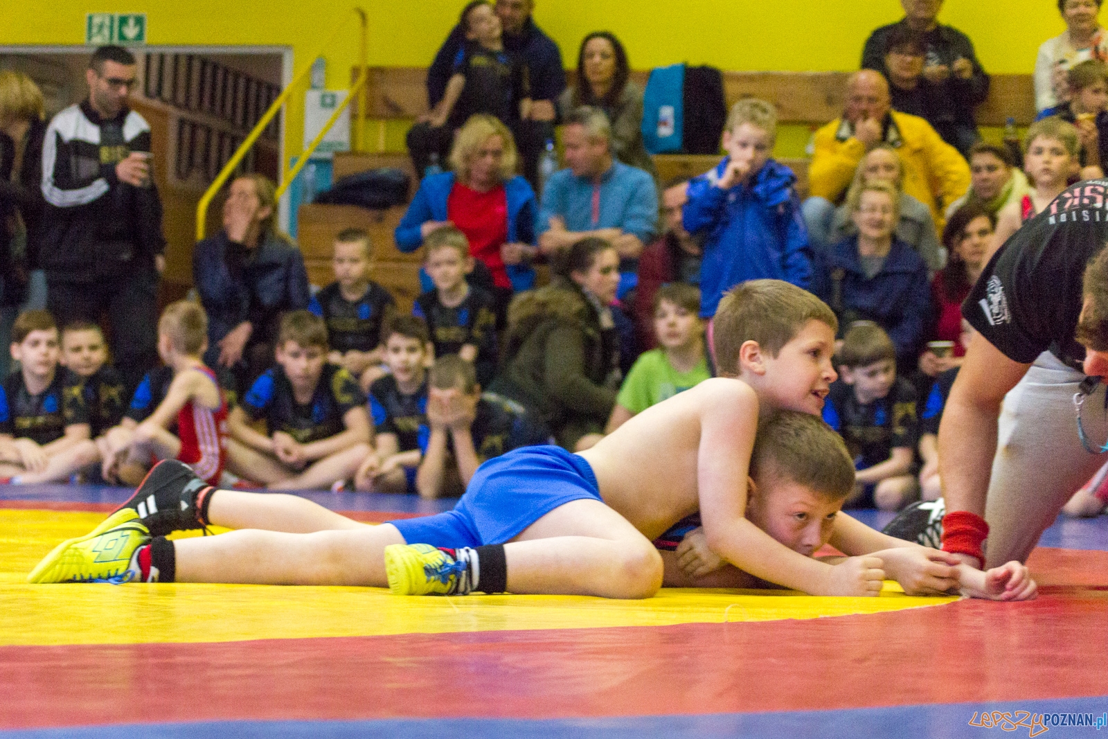 KS Sobieski - Turniej Wielkanocny Foto: lepszyPOZNAN.pl / Ewelina Jaśkowiak KS Sobieski - Turniej Wielkanocny Foto: lepszyPOZNAN.pl / Ewelina Jaśkowiak