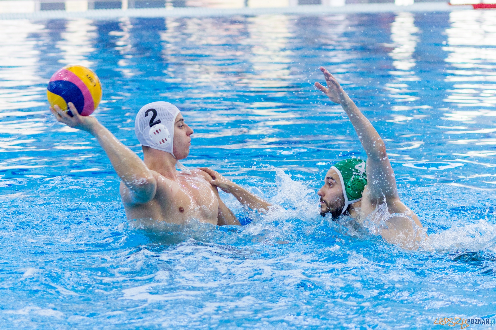 KS Waterpolo Poznań - Legia Warszawa Foto: lepszyPOZNAN.pl / Ewelina Jaśkowiak KS Waterpolo Poznań - Legia Warszawa Foto: lepszyPOZNAN.pl / Ewelina Jaśkowiak