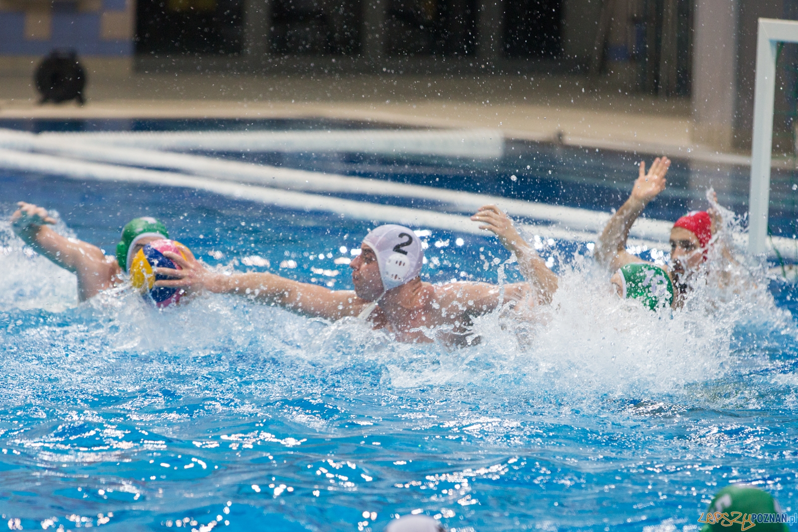 KS Waterolo Poznań - Legia Warszawa Foto: lepszyPOZNAN.pl / Piotr Rychter KS Waterolo Poznań - Legia Warszawa Foto: lepszyPOZNAN.pl / Piotr Rychter