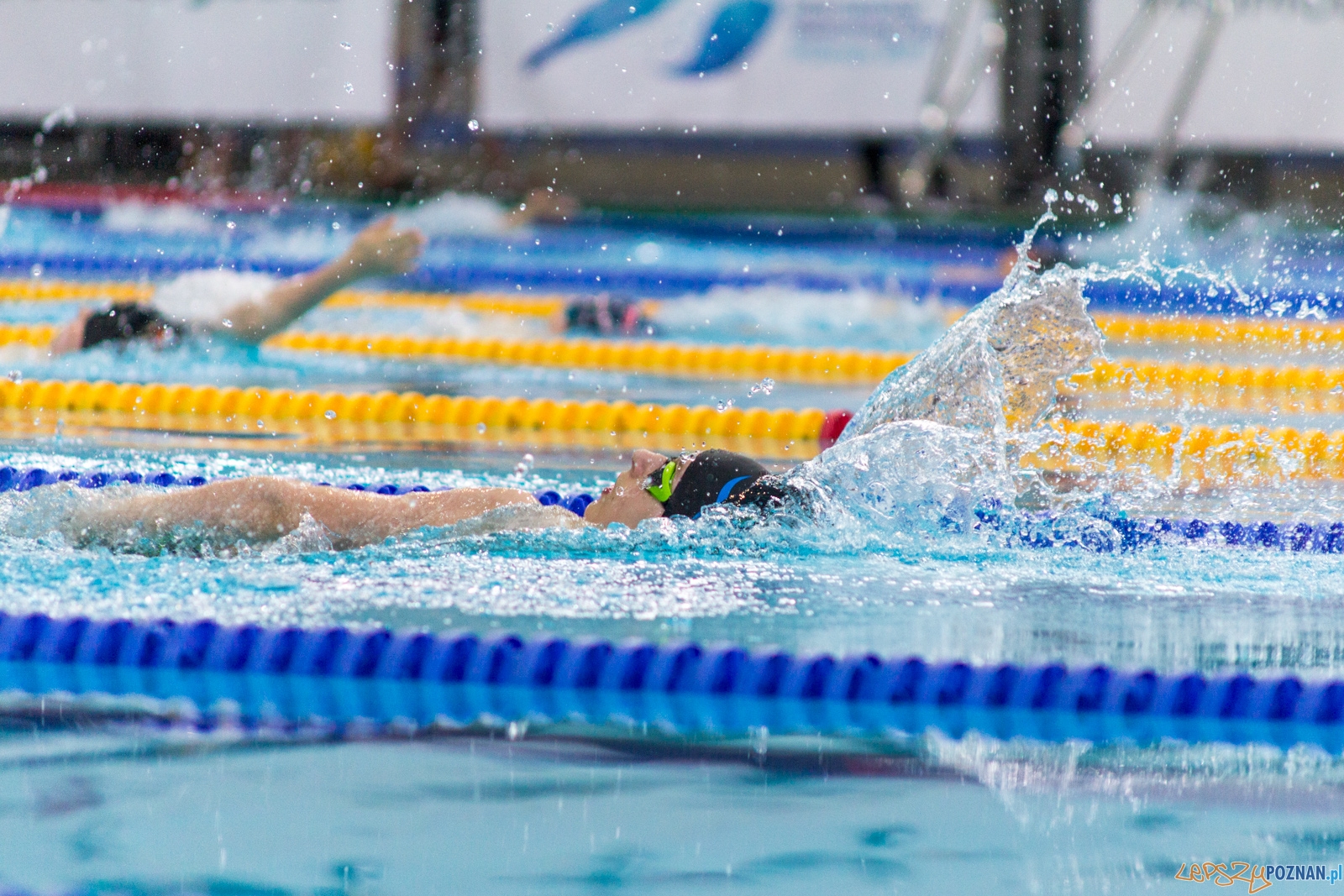 International Swimming Cup POZnań 2017 Foto: lepszyPOZNAN.pl / Ewelina Jaśkowiak International Swimming Cup POZnań 2017 Foto: lepszyPOZNAN.pl / Ewelina Jaśkowiak