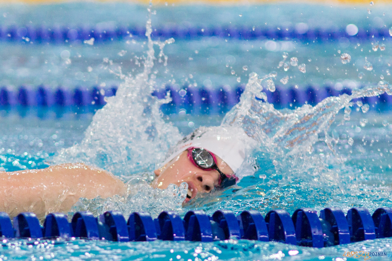 International Swimming Cup POZnań 2017 Foto: lepszyPOZNAN.pl / Ewelina Jaśkowiak International Swimming Cup POZnań 2017 Foto: lepszyPOZNAN.pl / Ewelina Jaśkowiak