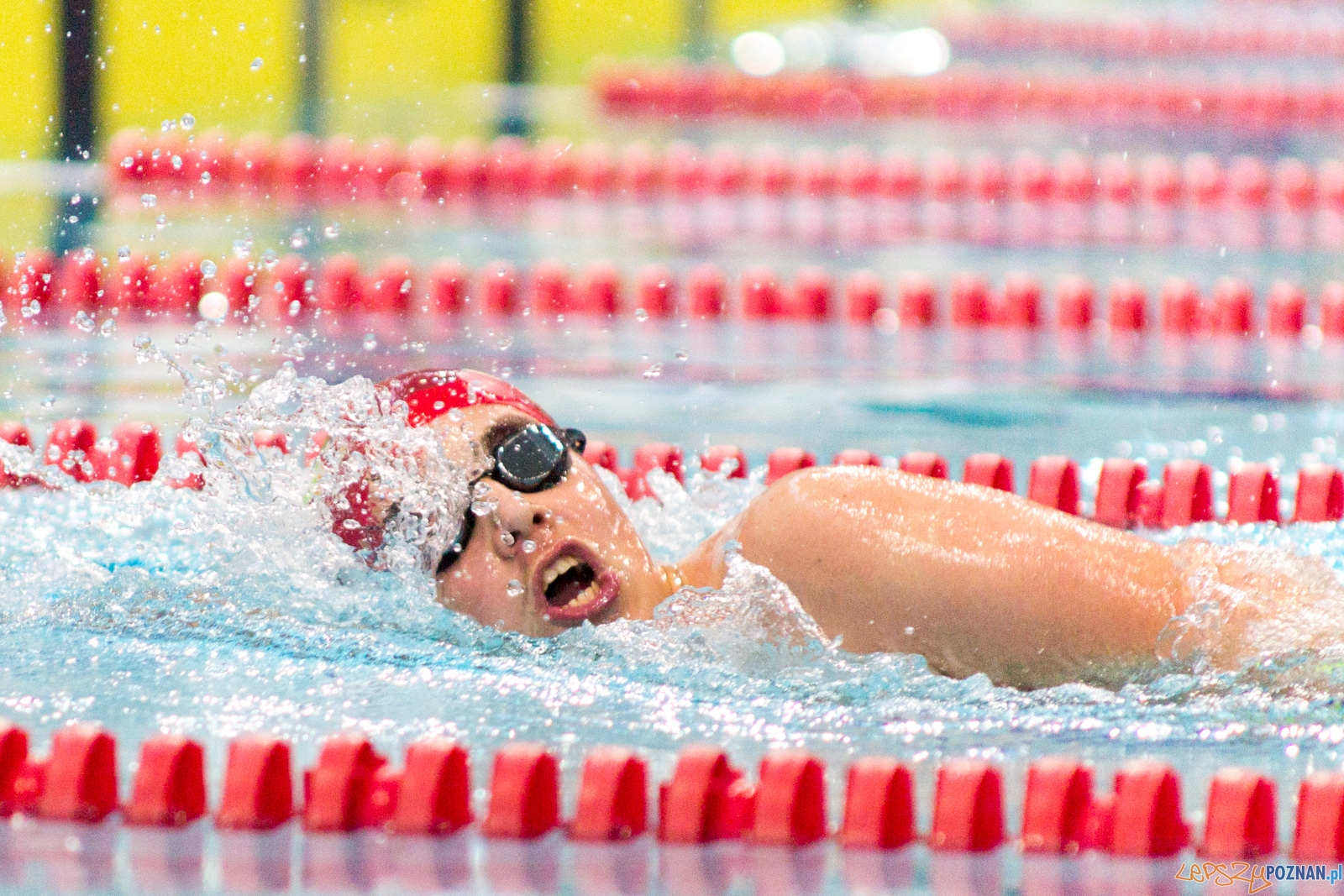 International Swimming Cup POZnań 2017 Foto: Ewelina Jaśkowiak International Swimming Cup POZnań 2017 Foto: Ewelina Jaśkowiak