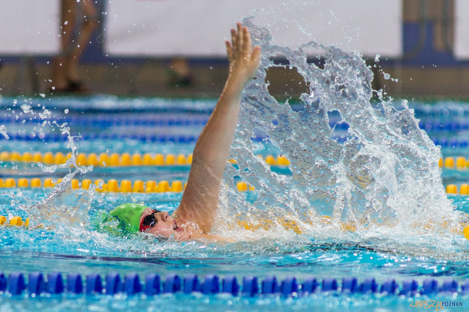 International Swimming Cup POZnań 2017 Foto: lepszyPOZNAN.pl / Ewelina Jaśkowiak International Swimming Cup POZnań 2017 Foto: lepszyPOZNAN.pl / Ewelina Jaśkowiak