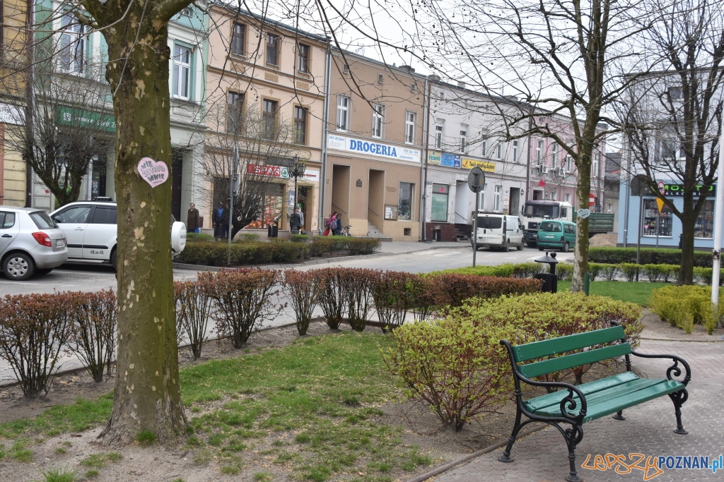 W obronie drzew Foto: UMiG Pobiedziska W obronie drzew Foto: UMiG Pobiedziska