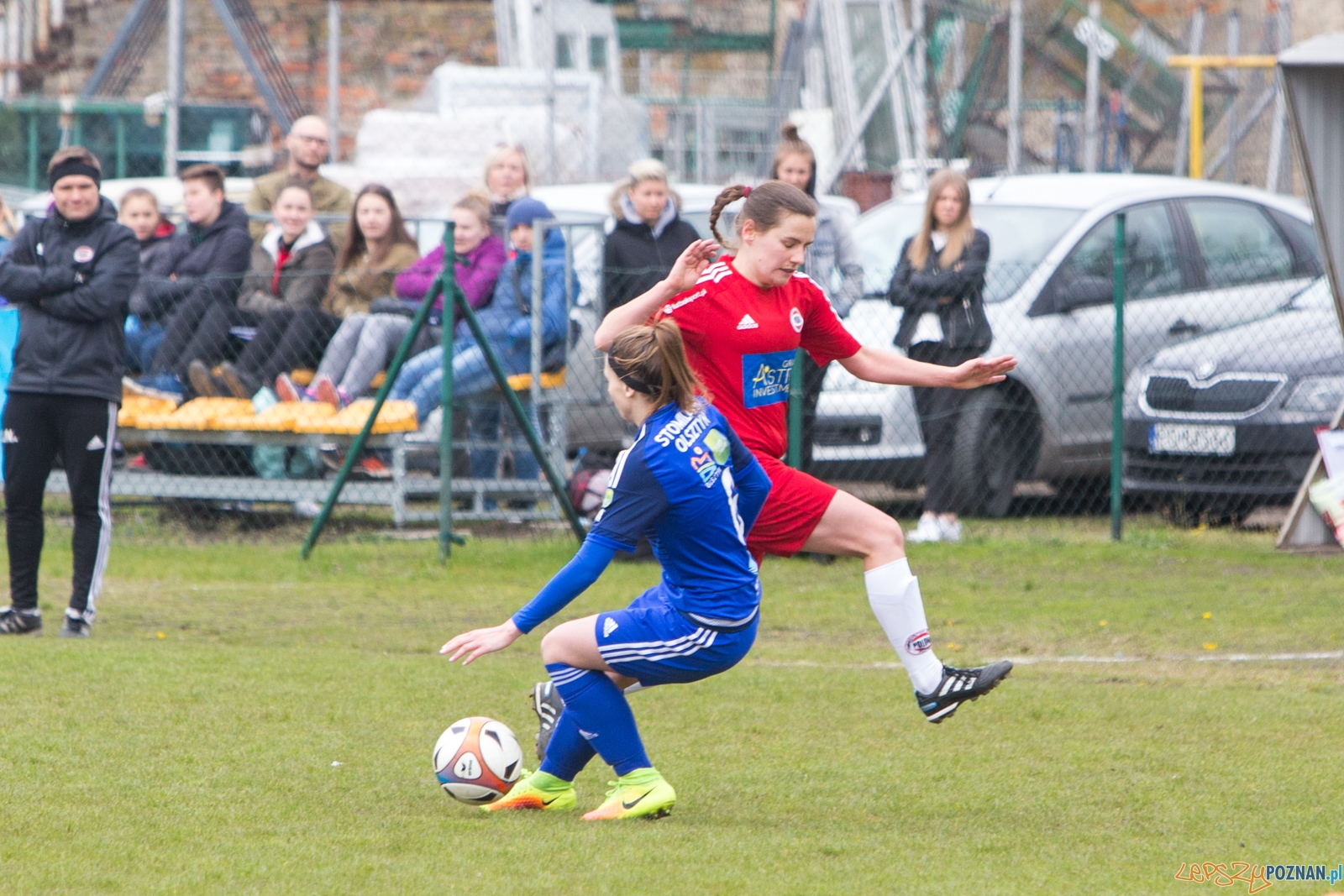 Polonia Poznań - Stomilanki Olsztyn Foto: lepszyPOZNAN.pl / Piotr Rychter Polonia Poznań - Stomilanki Olsztyn Foto: lepszyPOZNAN.pl / Piotr Rychter