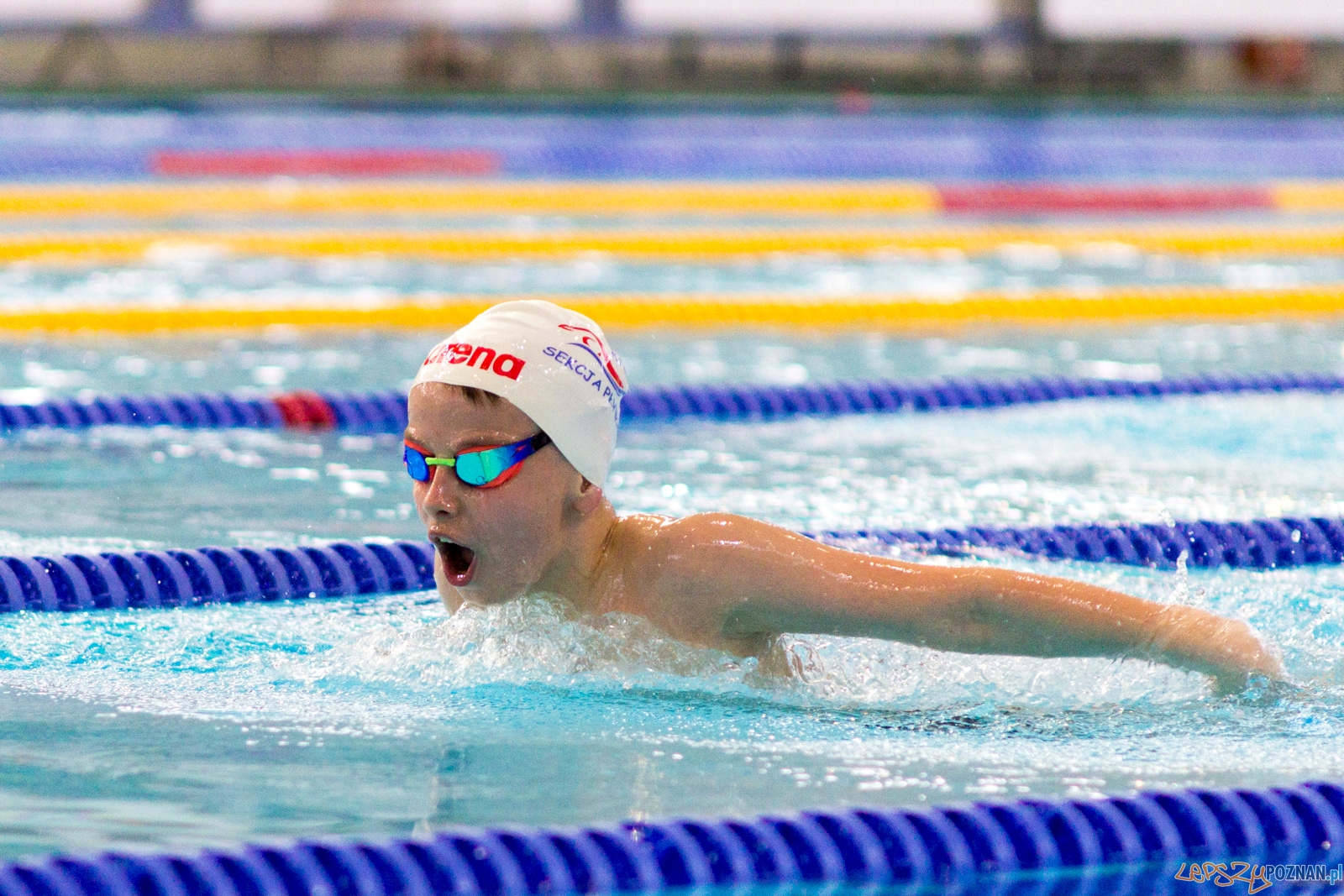International Swimming Cup POZnań 2017 Foto: Ewelina Jaśkowiak International Swimming Cup POZnań 2017 Foto: Ewelina Jaśkowiak