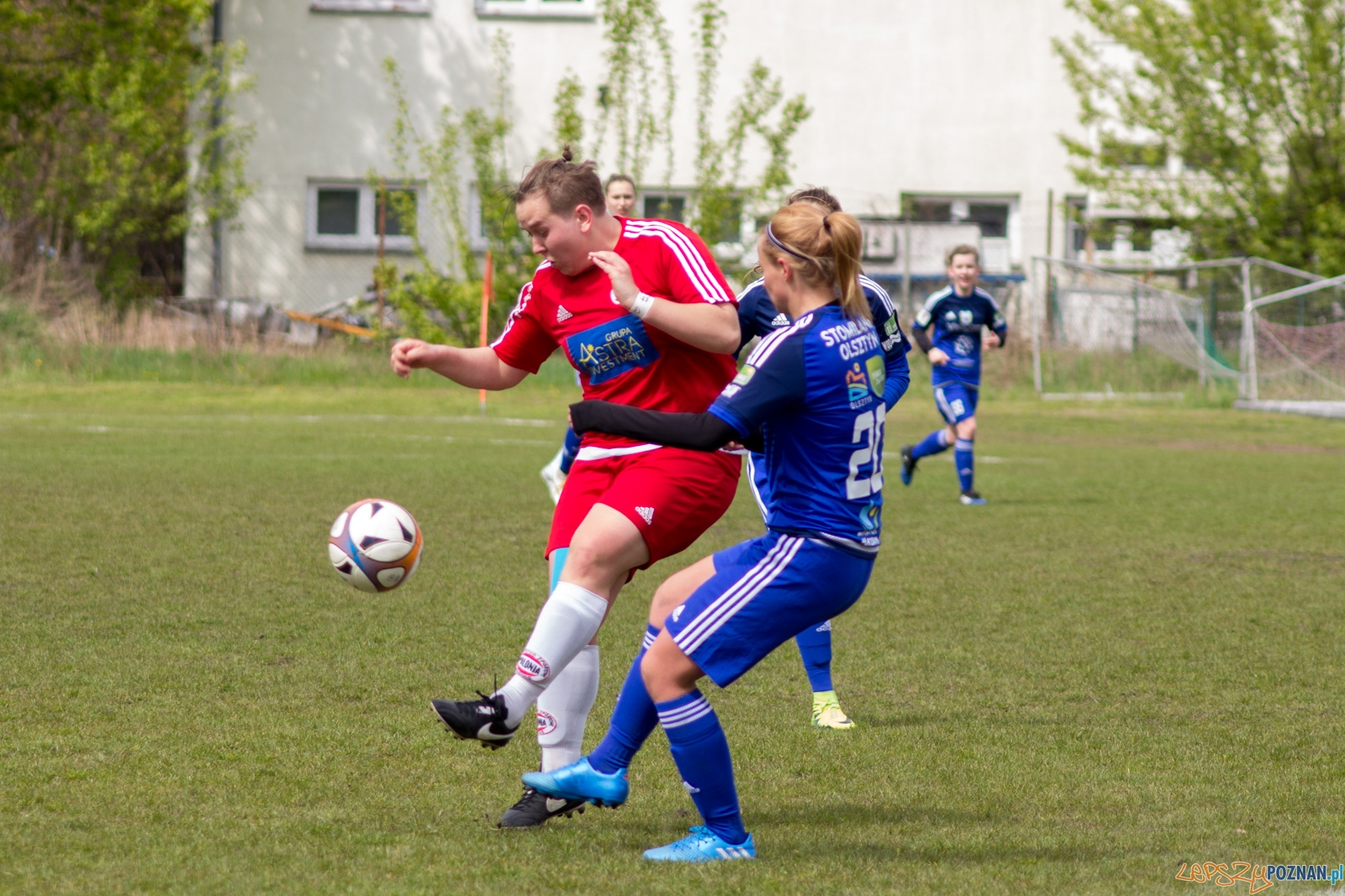 Polonia Poznań - Stomilanki Olsztyn Foto: lepszyPOZNAN.pl / Ewelina Jaśkowiak Polonia Poznań - Stomilanki Olsztyn Foto: lepszyPOZNAN.pl / Ewelina Jaśkowiak