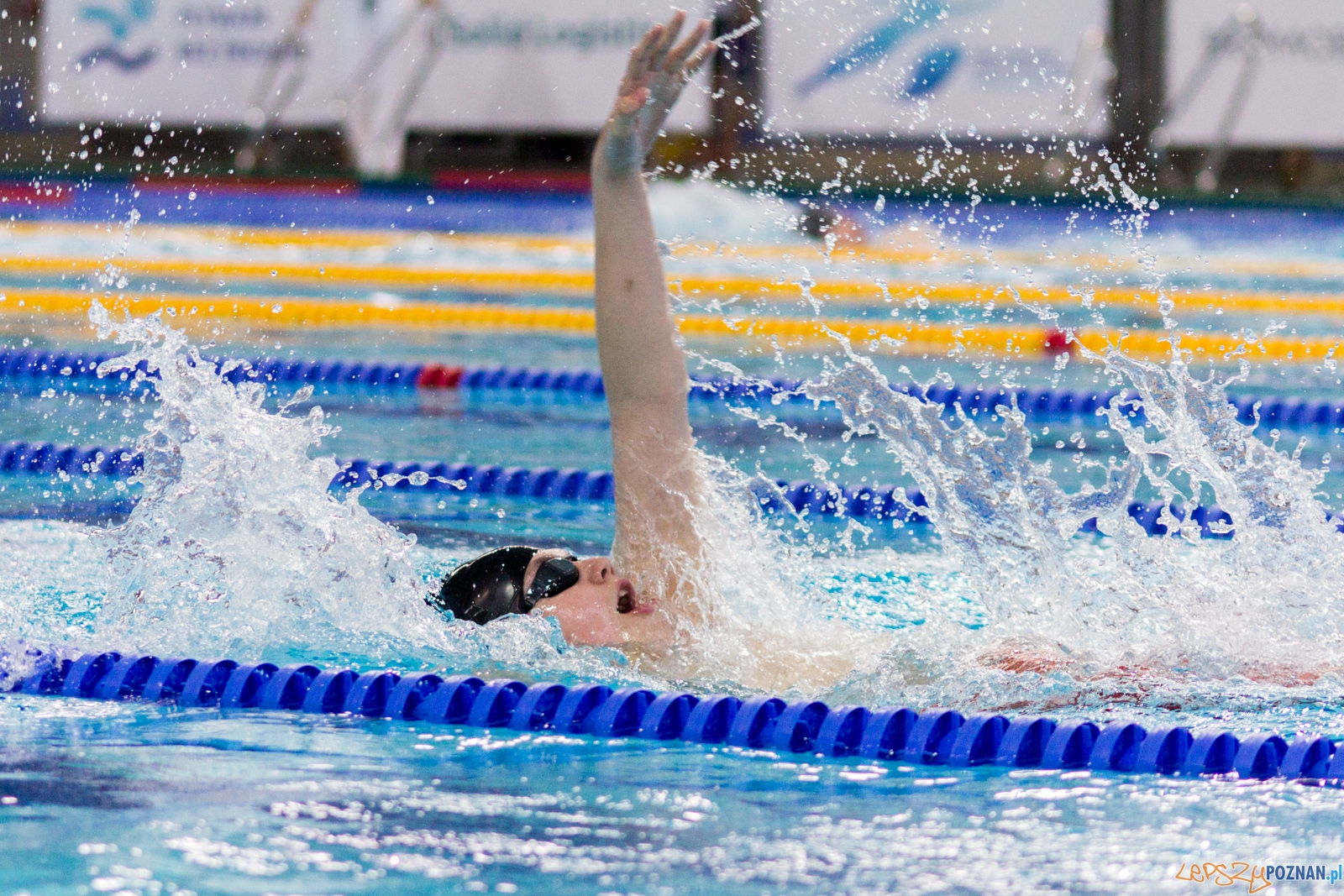 International Swimming Cup POZnań 2017 Foto: lepszyPOZNAN.pl / Ewelina Jaśkowiak International Swimming Cup POZnań 2017 Foto: lepszyPOZNAN.pl / Ewelina Jaśkowiak