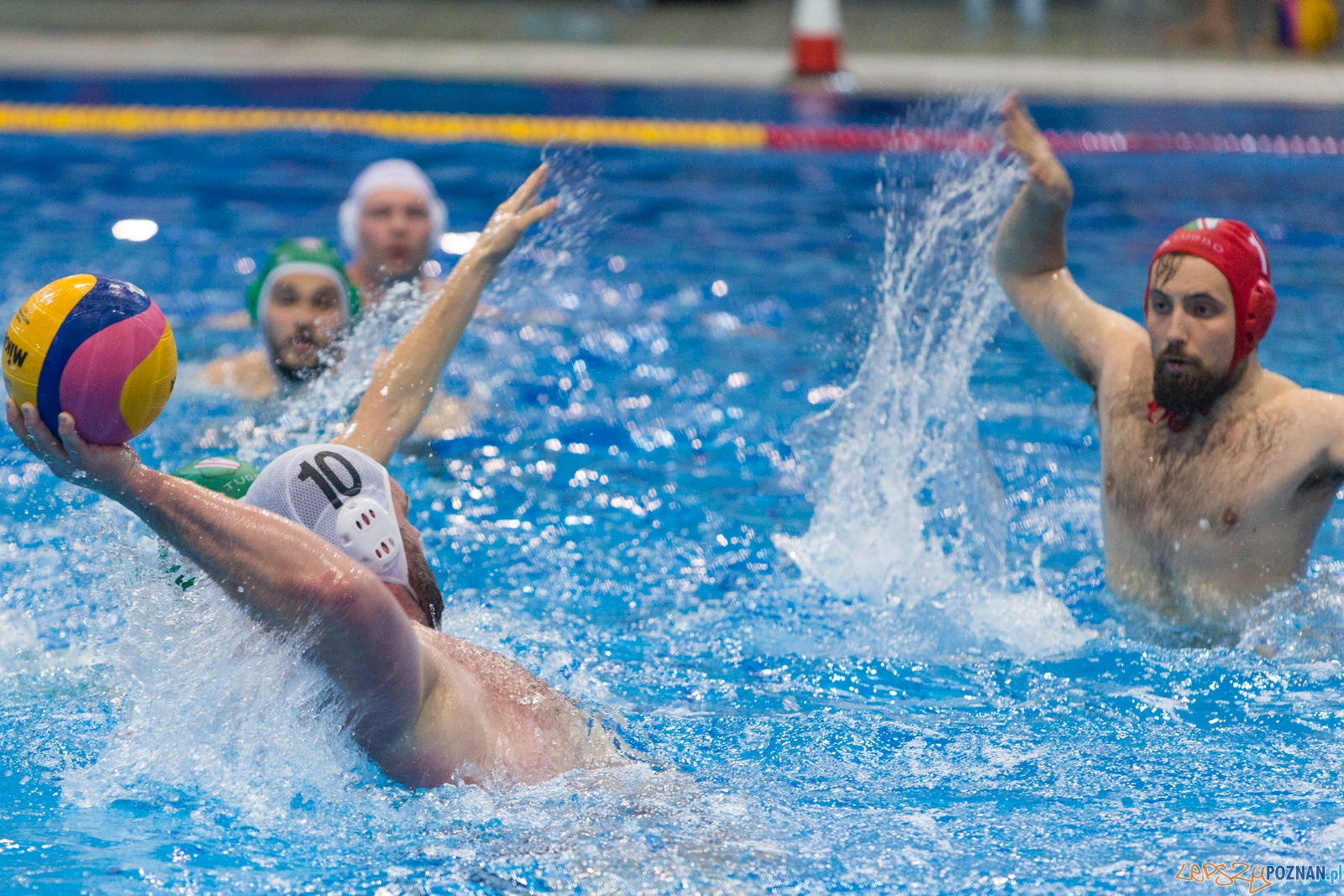 KS Waterolo Poznań - Legia Warszawa Foto: lepszyPOZNAN.pl / Piotr Rychter KS Waterolo Poznań - Legia Warszawa Foto: lepszyPOZNAN.pl / Piotr Rychter