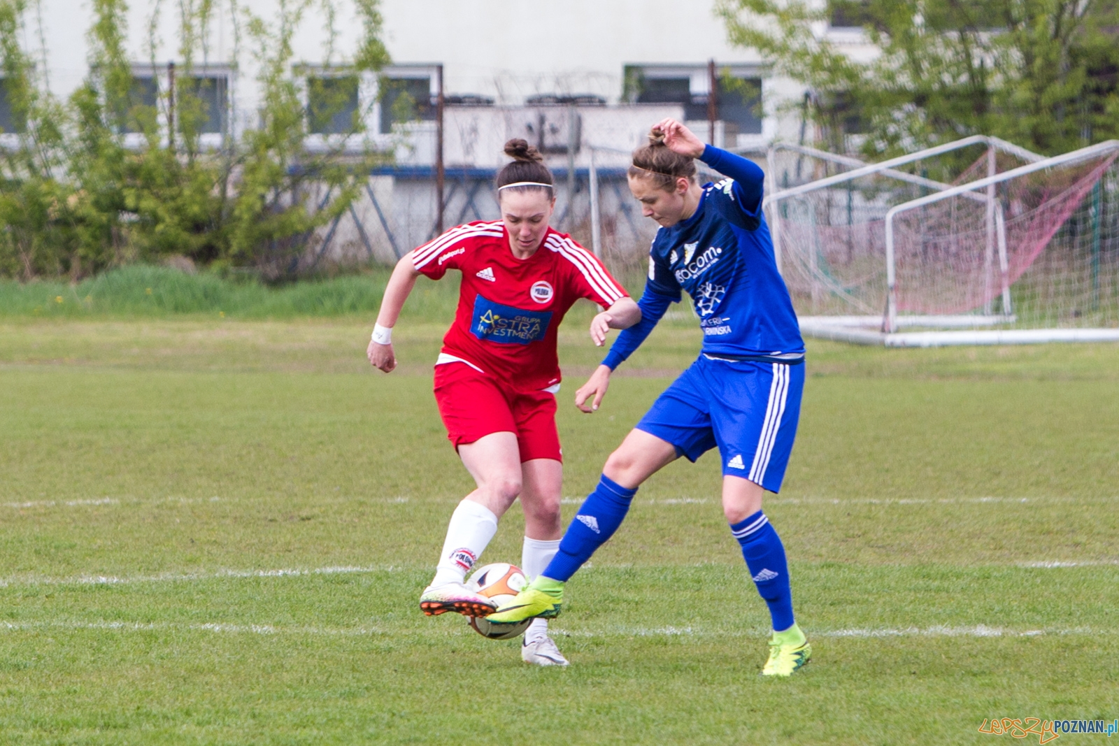 Polonia Poznań - Stomilanki Olsztyn Foto: lepszyPOZNAN.pl / Piotr Rychter Polonia Poznań - Stomilanki Olsztyn Foto: lepszyPOZNAN.pl / Piotr Rychter