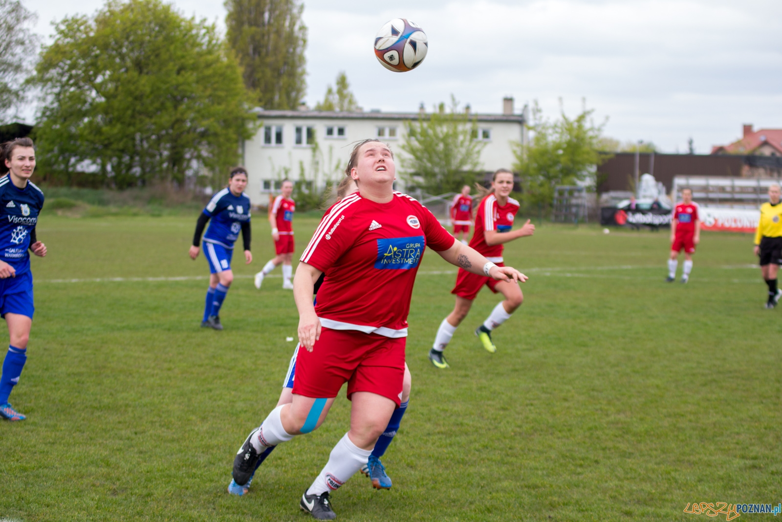 Polonia Poznań - Stomilanki Olsztyn Foto: lepszyPOZNAN.pl / Ewelina Jaśkowiak Polonia Poznań - Stomilanki Olsztyn Foto: lepszyPOZNAN.pl / Ewelina Jaśkowiak