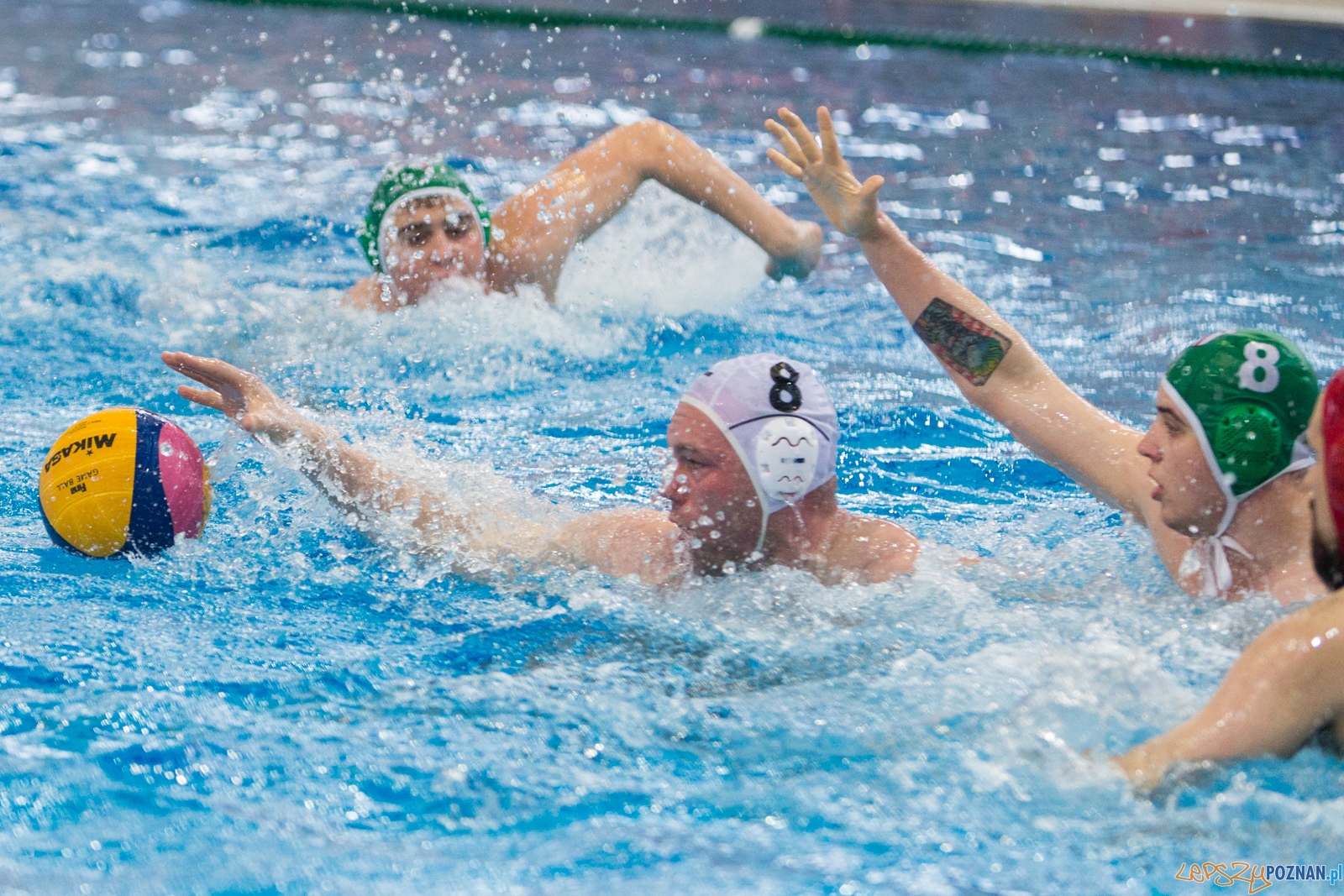 KS Waterpolo Poznań - Legia Warszawa Foto: lepszyPOZNAN.pl / Piotr Rychter KS Waterpolo Poznań - Legia Warszawa Foto: lepszyPOZNAN.pl / Piotr Rychter