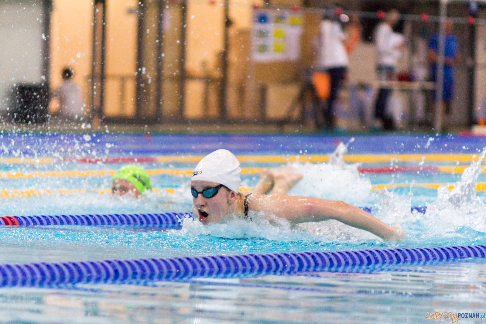 International Swimming Cup POZnań 2017 Foto: Ewelina Jaśkowiak International Swimming Cup POZnań 2017 Foto: Ewelina Jaśkowiak