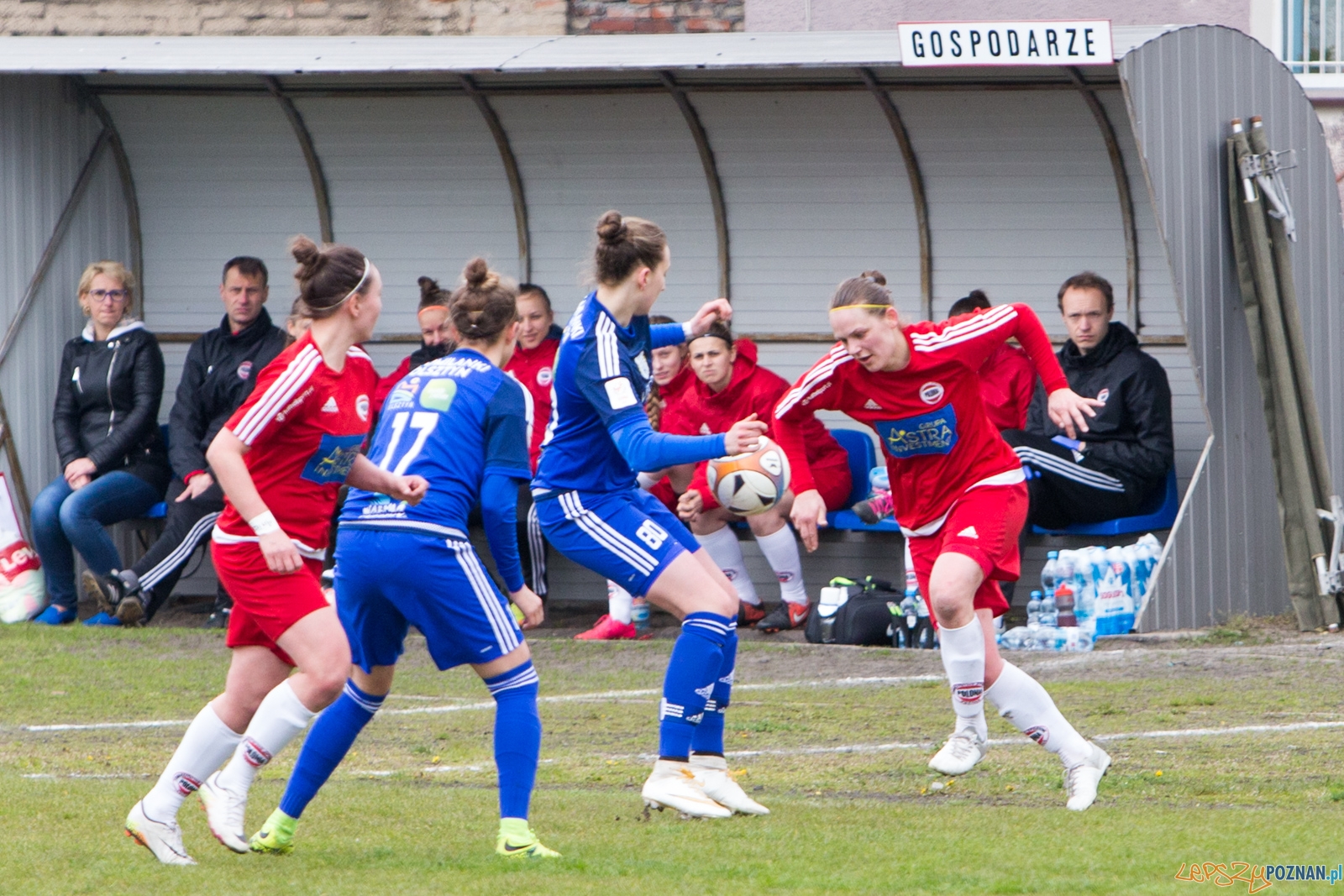 Polonia Poznań - Stomilanki Olsztyn Foto: lepszyPOZNAN.pl / Piotr Rychter Polonia Poznań - Stomilanki Olsztyn Foto: lepszyPOZNAN.pl / Piotr Rychter
