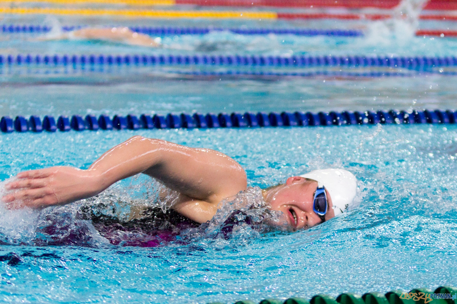 International Swimming Cup POZnań 2017 Foto: Ewelina Jaśkowiak International Swimming Cup POZnań 2017 Foto: Ewelina Jaśkowiak