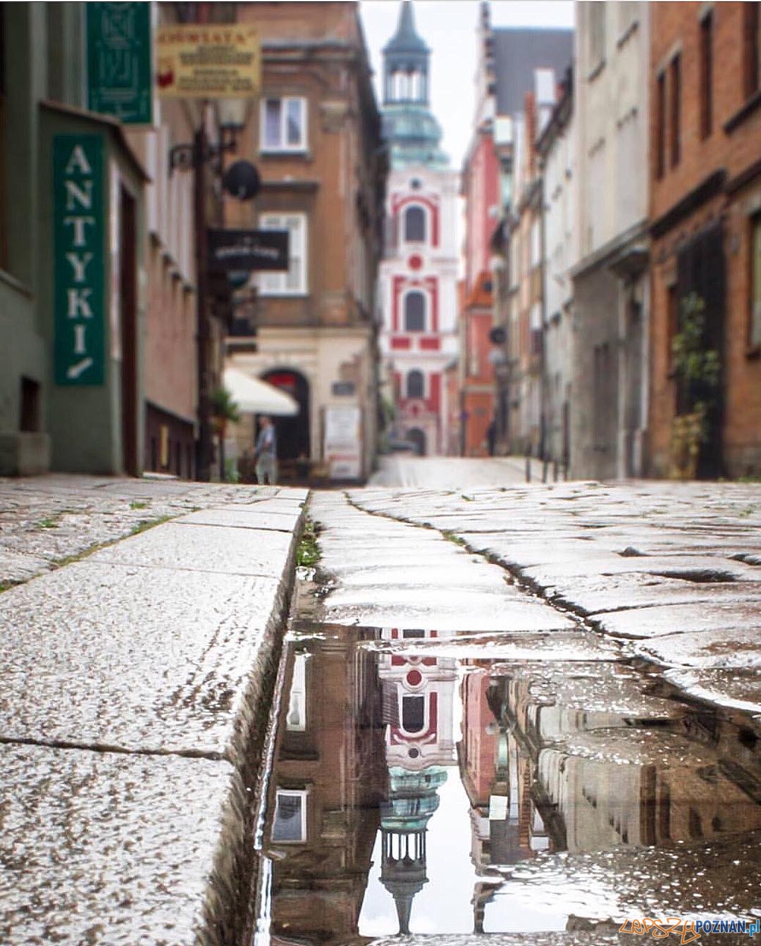 Photo of the Year - miejsce I Foto: https://www.instagram.com/evelja/ Photo of the Year - miejsce I Foto: https://www.instagram.com/evelja/