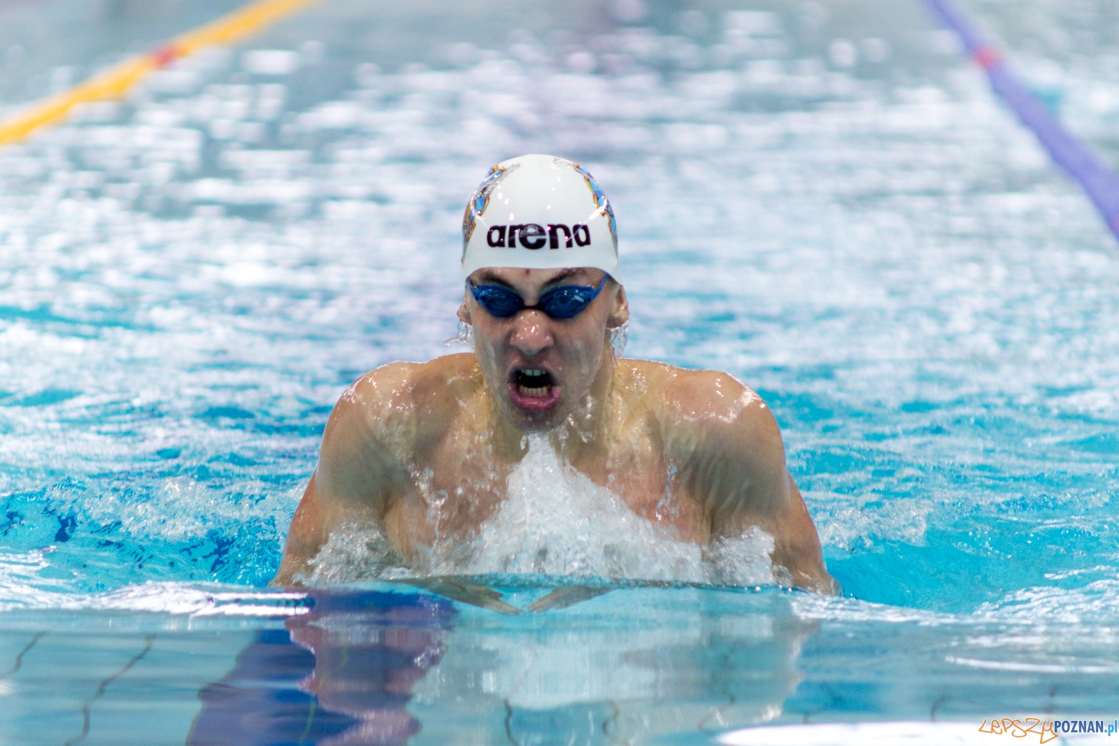 International Swimming Cup POZnań 2017 Foto: lepszyPOZNAN.pl / Ewelina Jaśkowiak International Swimming Cup POZnań 2017 Foto: lepszyPOZNAN.pl / Ewelina Jaśkowiak