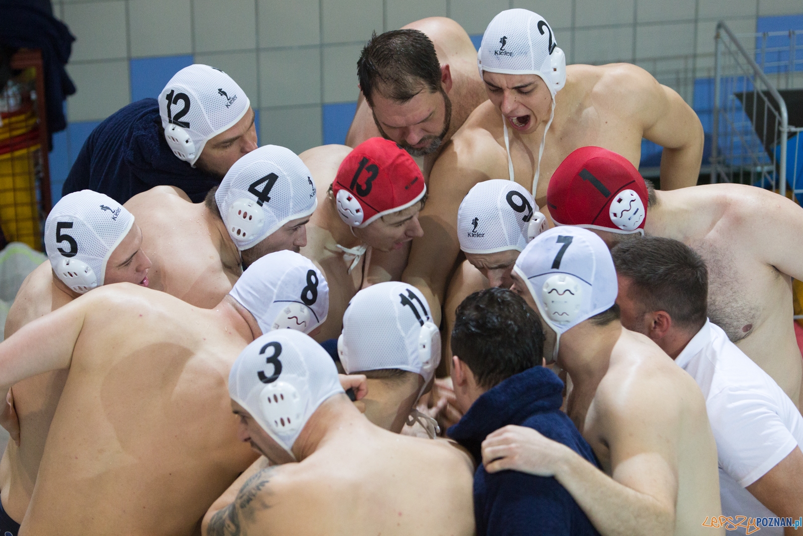 KS Waterolo Poznań - Legia Warszawa Foto: lepszyPOZNAN.pl / Piotr Rychter KS Waterolo Poznań - Legia Warszawa Foto: lepszyPOZNAN.pl / Piotr Rychter