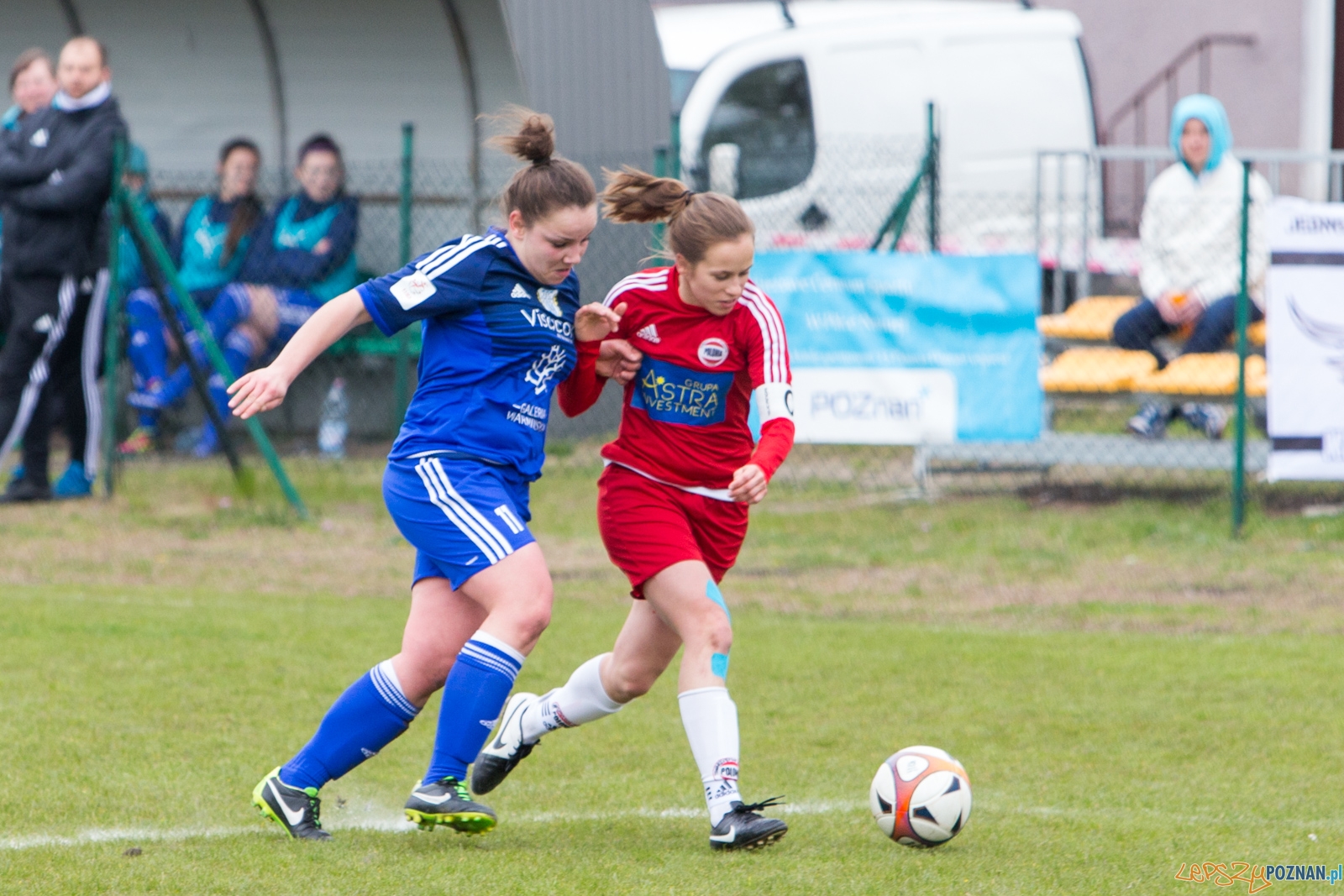 Polonia Poznań - Stomilanki Olsztyn Foto: lepszyPOZNAN.pl / Piotr Rychter Polonia Poznań - Stomilanki Olsztyn Foto: lepszyPOZNAN.pl / Piotr Rychter