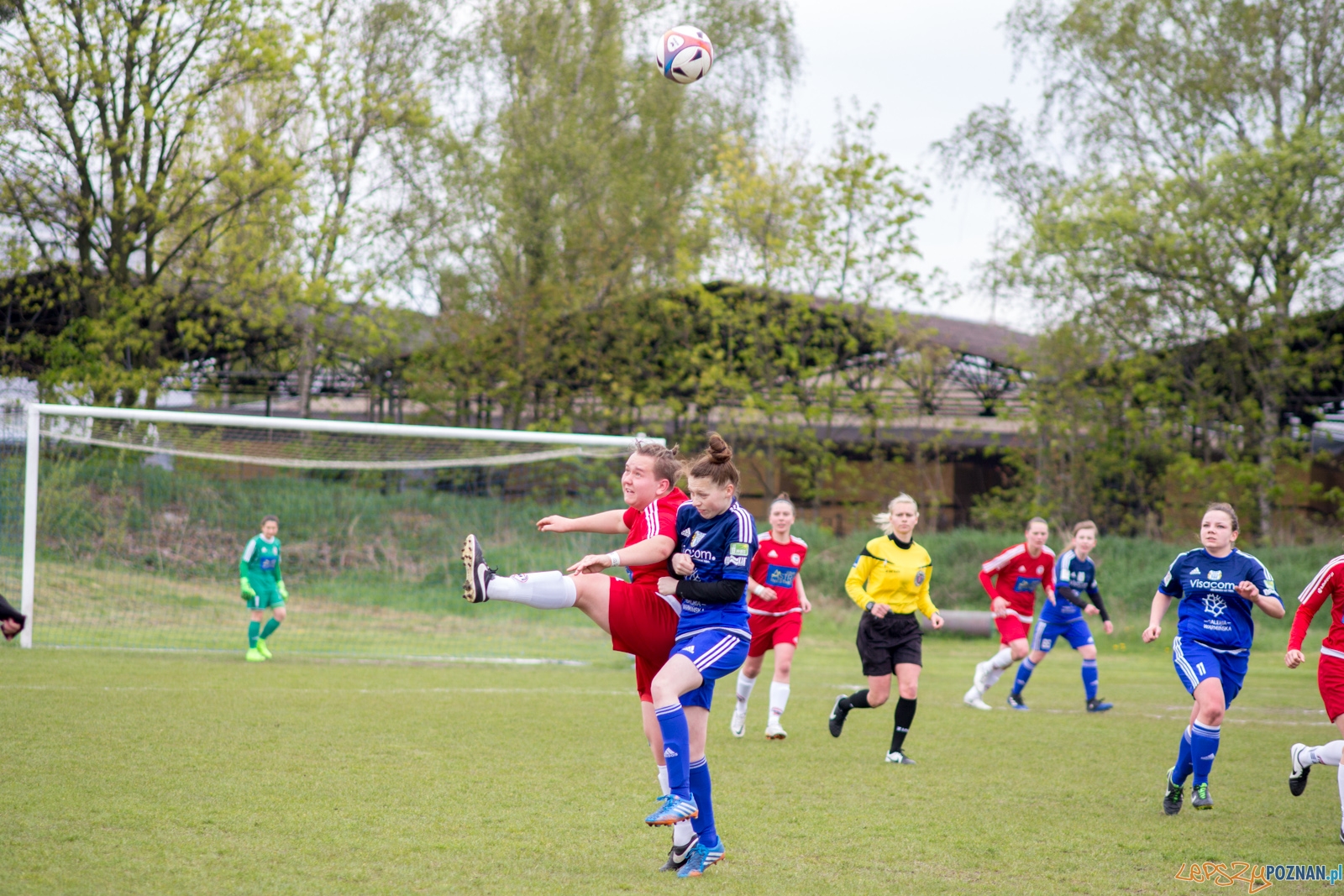 Polonia Poznań - Stomilanki Olsztyn Foto: lepszyPOZNAN.pl / Ewelina Jaśkowiak Polonia Poznań - Stomilanki Olsztyn Foto: lepszyPOZNAN.pl / Ewelina Jaśkowiak
