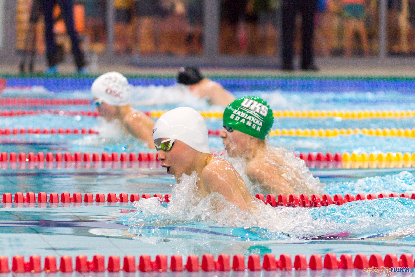 International Swimming Cup POZnań 2017 Foto: Ewelina Jaśkowiak International Swimming Cup POZnań 2017 Foto: Ewelina Jaśkowiak