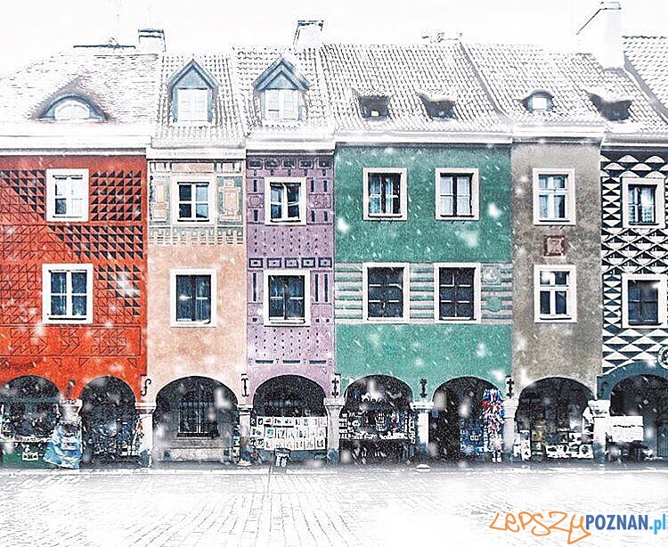 Photo of the Year - miejsce II Foto: https://www.instagram.com/aggiewo/ Photo of the Year - miejsce II Foto: https://www.instagram.com/aggiewo/